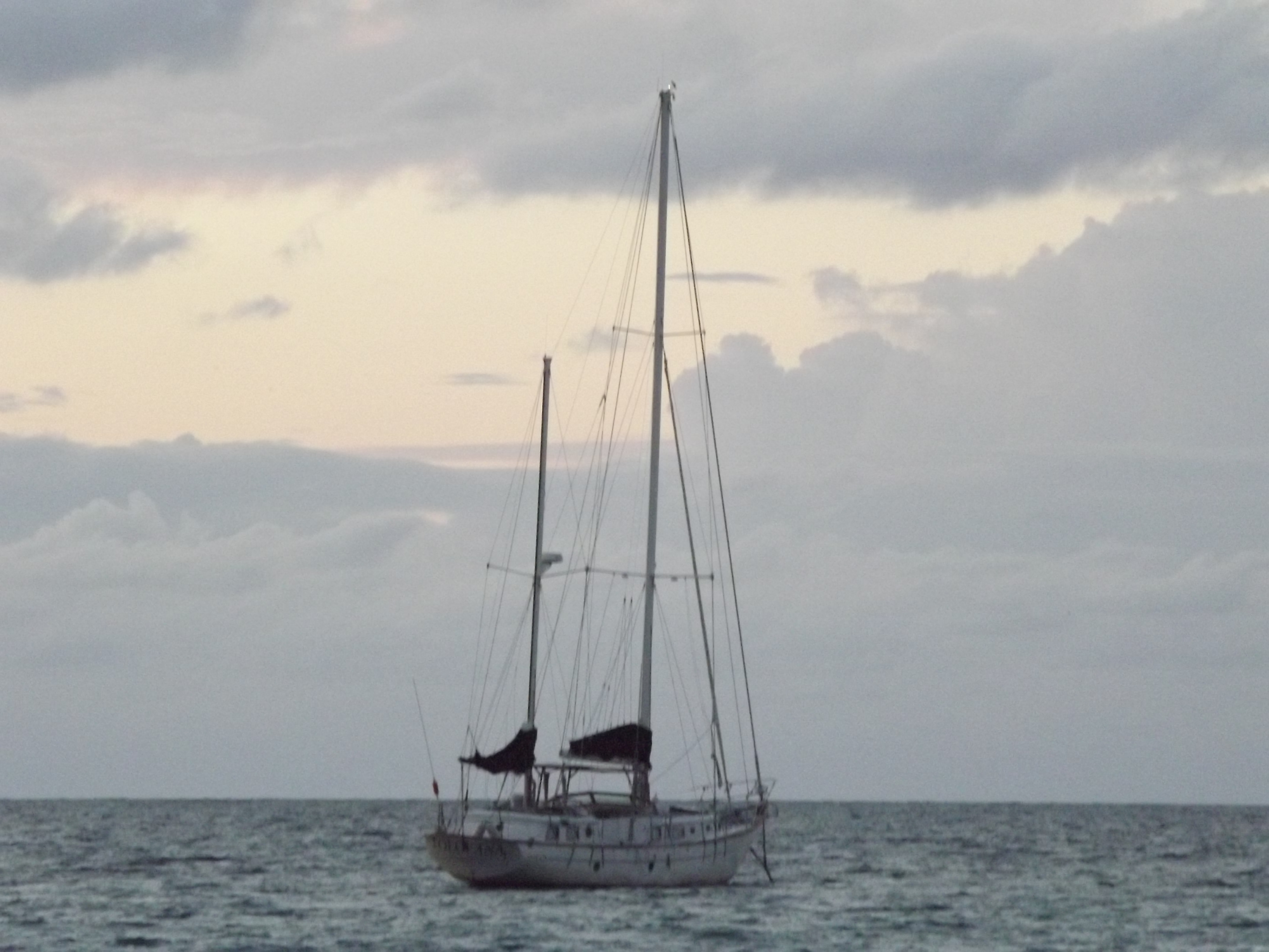 Name:  JamaicaBoat2020.JPG
Views: 2109
Size:  1.85 MB