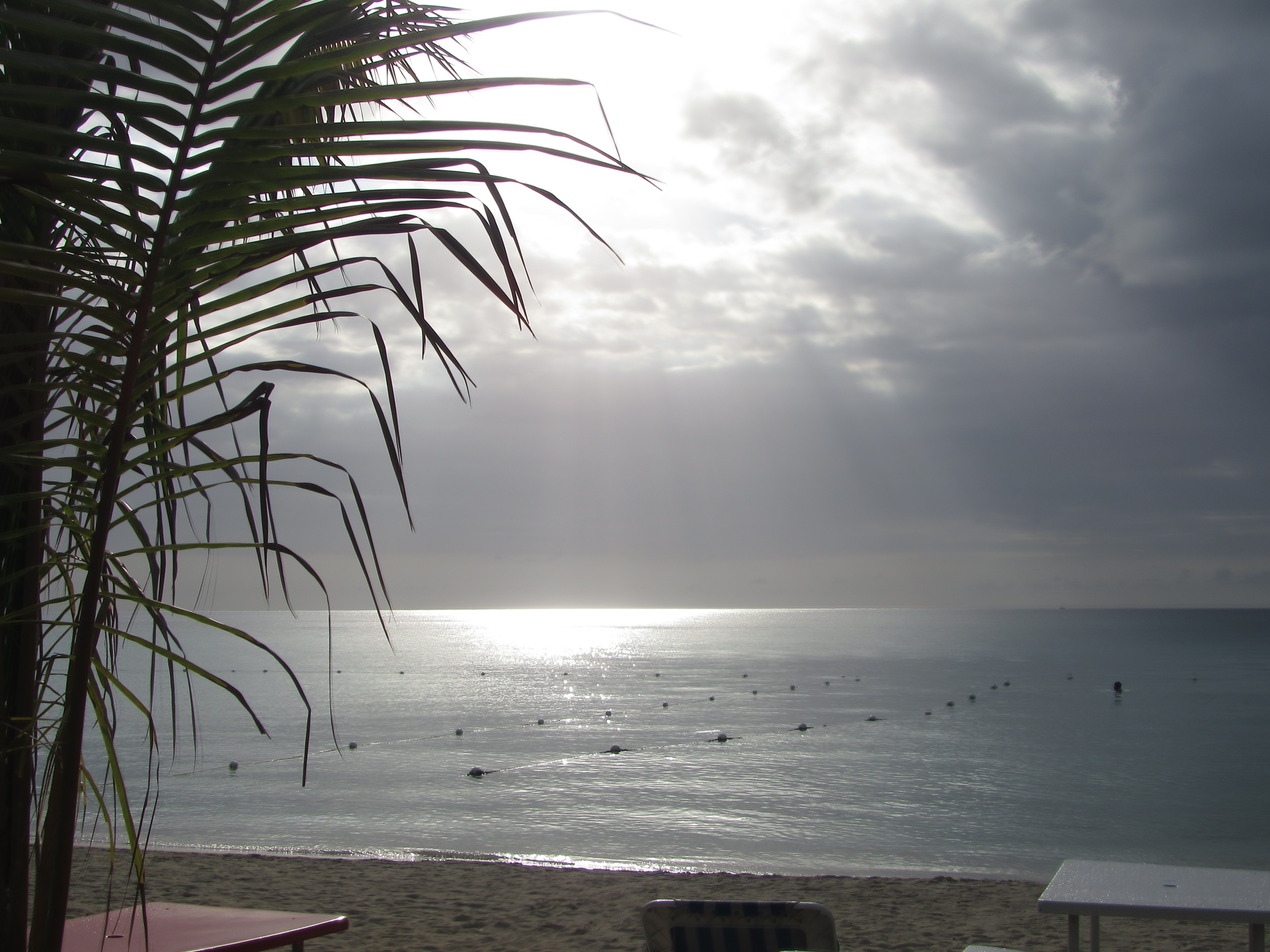 Name:  IMG_0353.JPG
Views: 1762
Size:  3.59 MB
