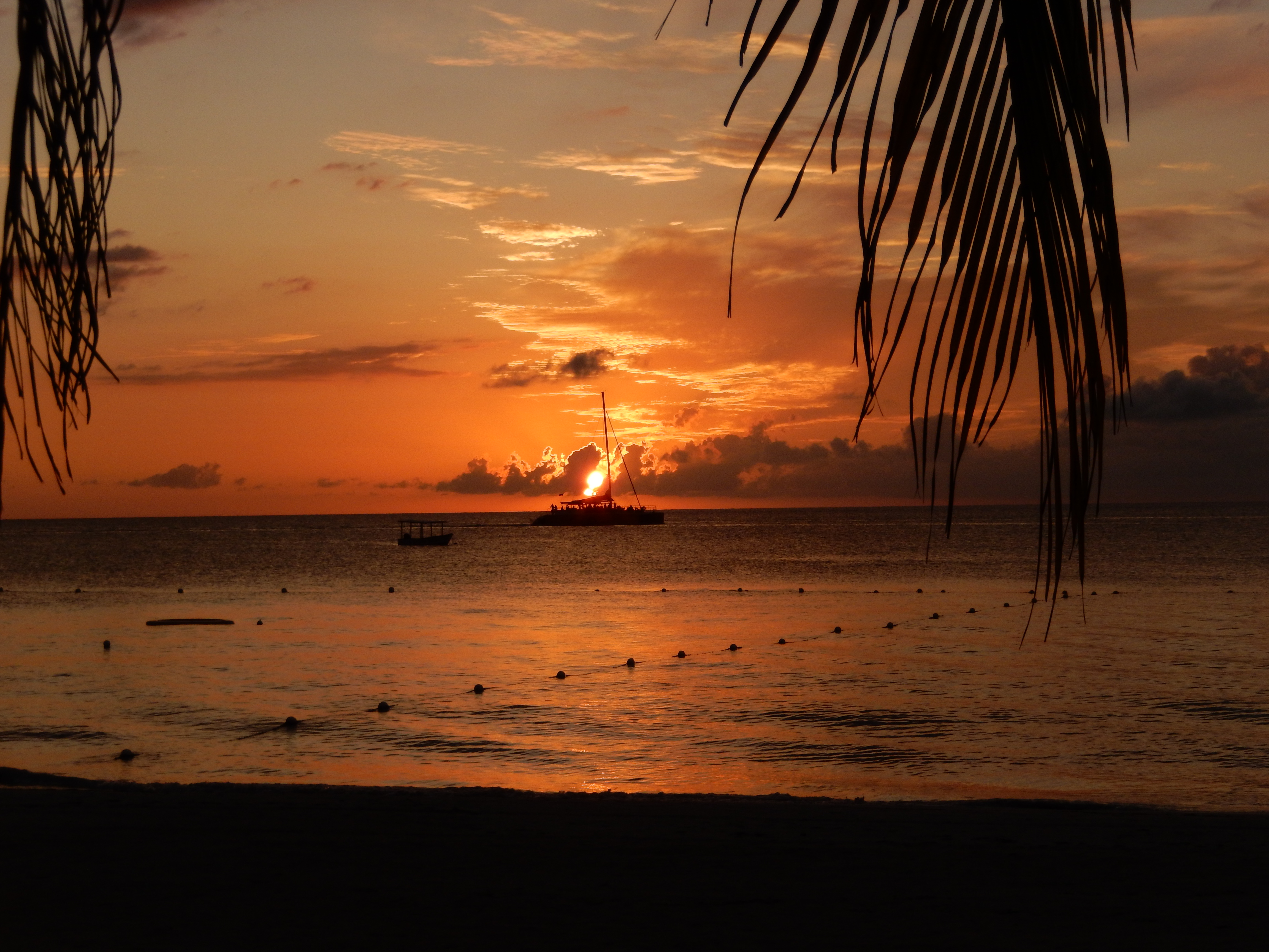 Name:  DSCN1457.JPG
Views: 1393
Size:  3.49 MB