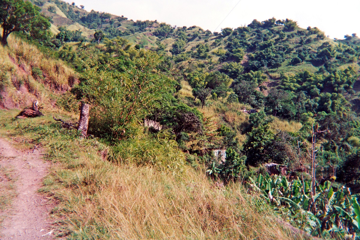 Name:  003.jpg
Views: 904
Size:  632.6 KB