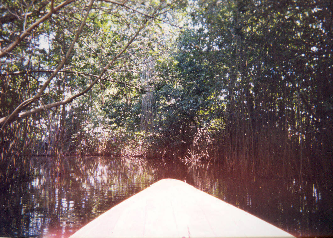 Name:  960 BR Mirror.jpg
Views: 738
Size:  232.2 KB