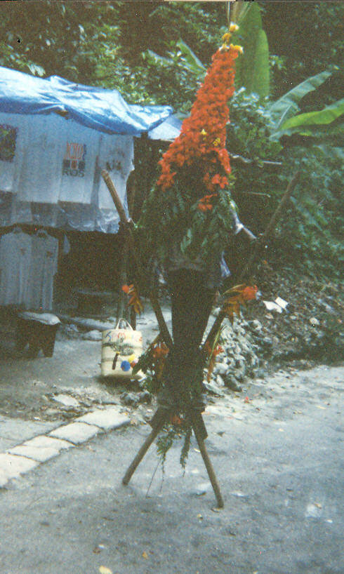 Name:  970 Ochi Stiltman.jpg
Views: 719
Size:  94.8 KB