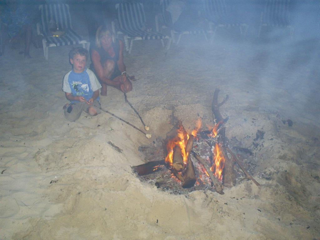 Name:  B.Fire.jpg
Views: 249
Size:  81.7 KB