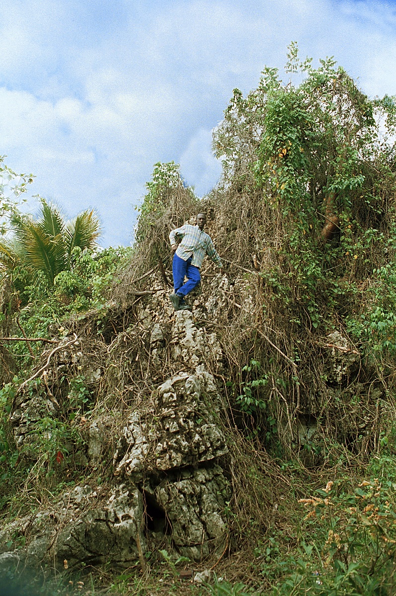 Name:  620 Acc Marshall Hike.jpg
Views: 726
Size:  669.1 KB