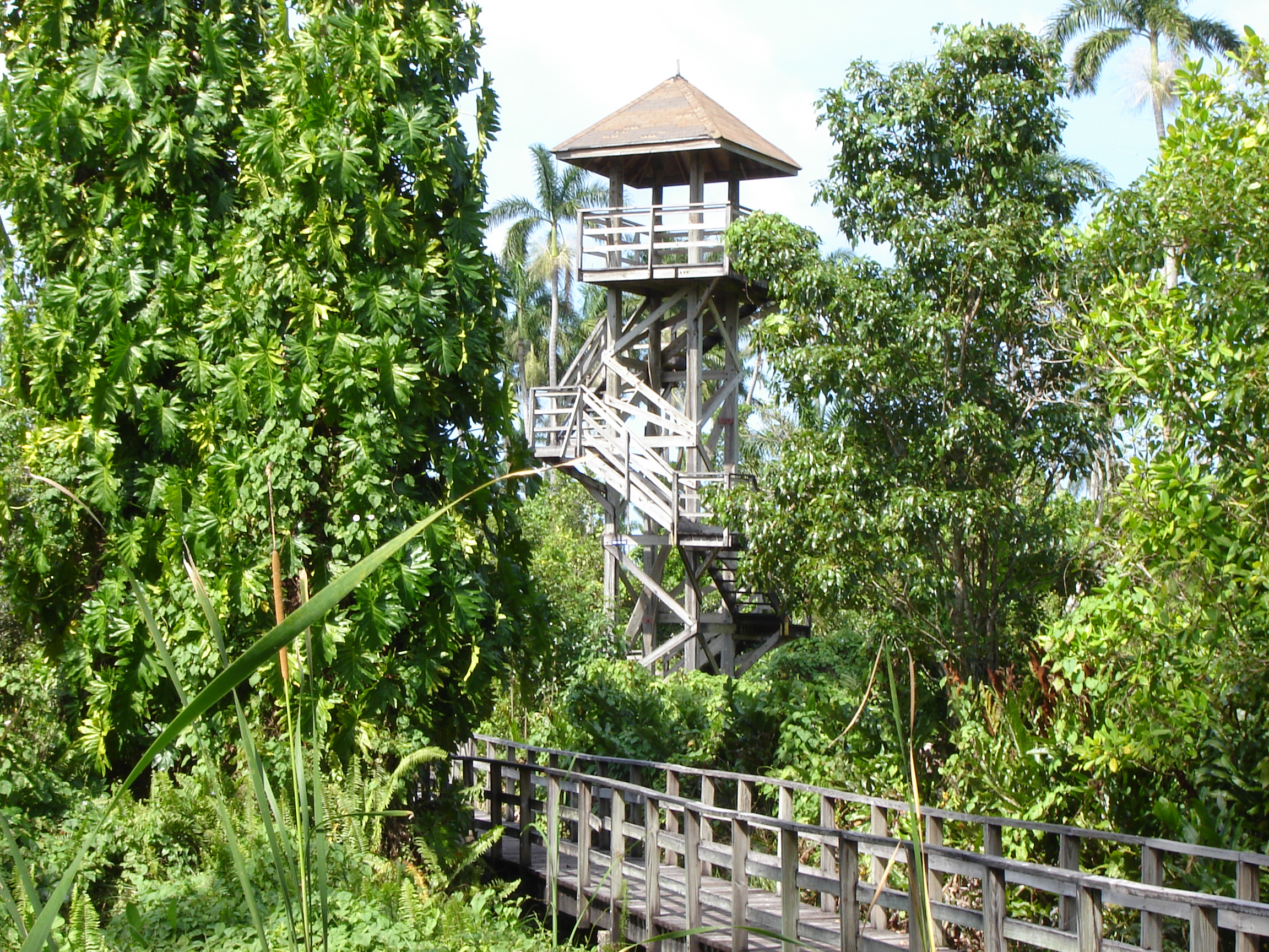Name:  DSC00058.JPG
Views: 942
Size:  1.75 MB
