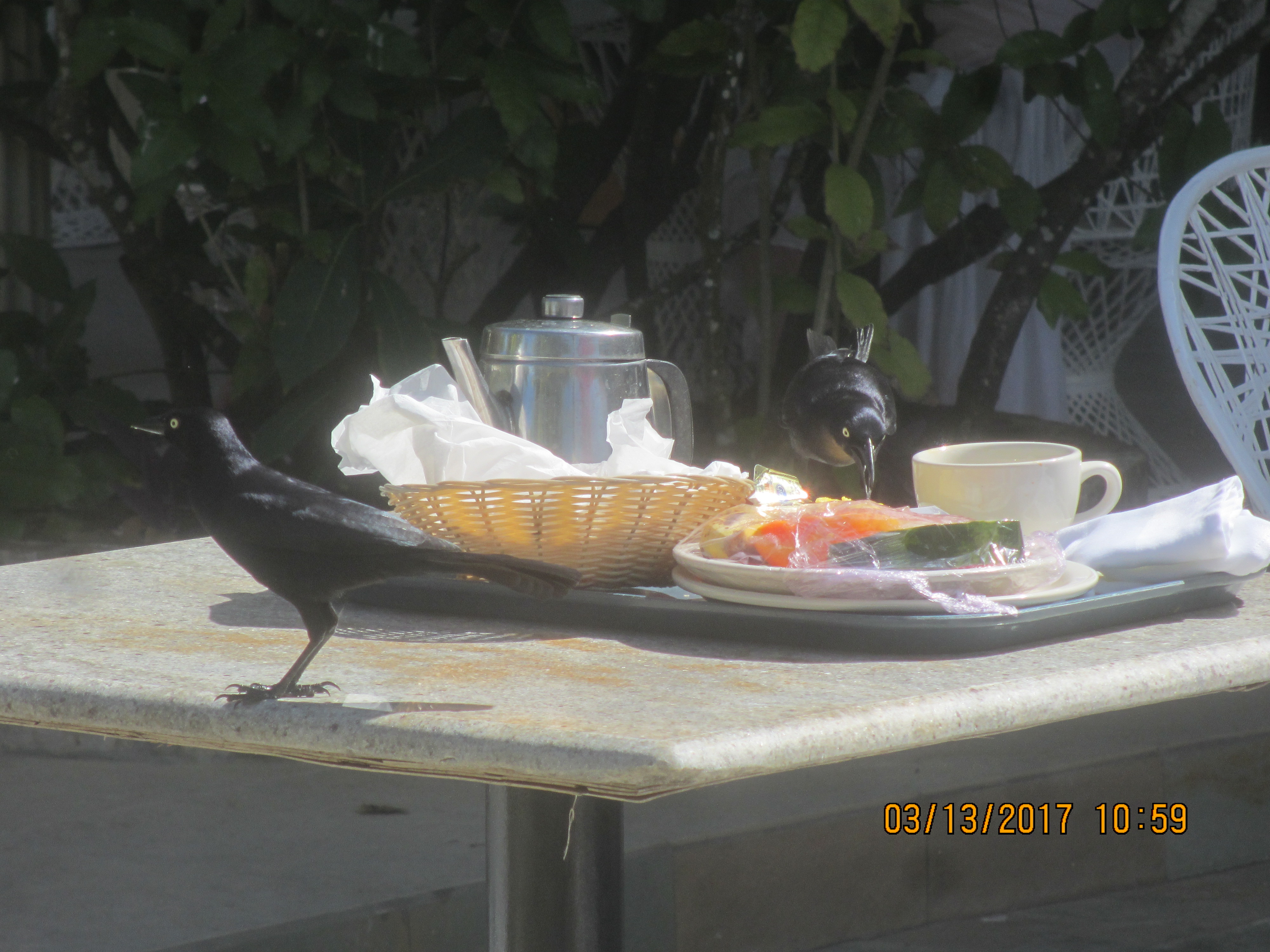 Name:  051.JPG
Views: 892
Size:  2.62 MB