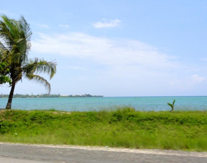 Name:  DSC00643.jpg
Views: 1685
Size:  38.0 KB