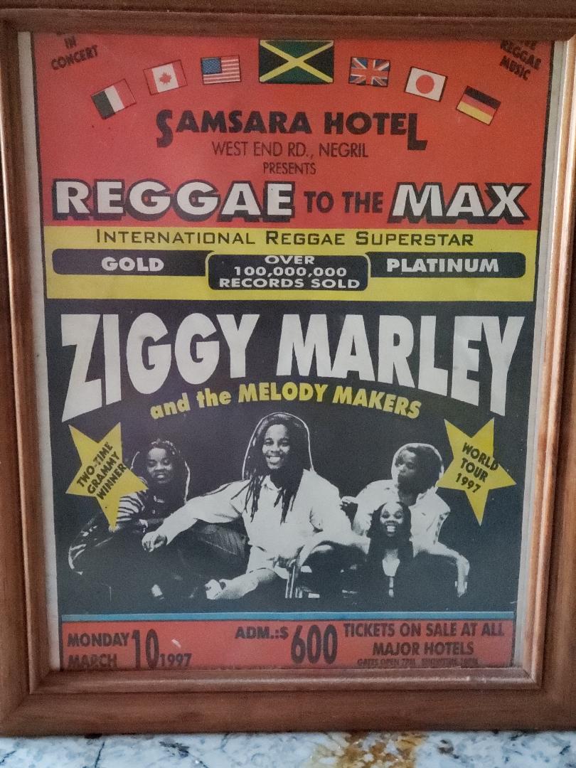 Name:  ziggy.jpg
Views: 834
Size:  144.4 KB
