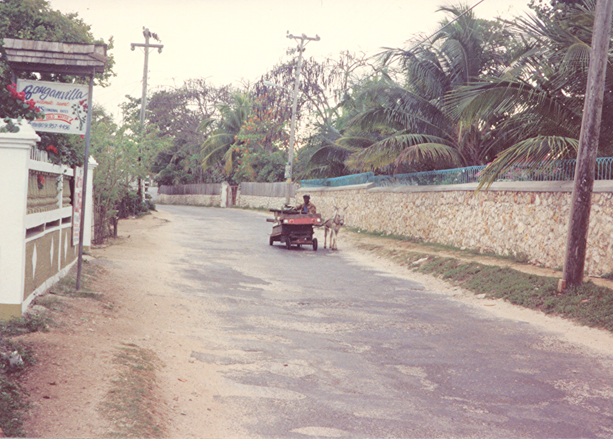 Name:  donkey cart  west end rd  am vegtables 1984.jpg
Views: 1064
Size:  1,006.1 KB