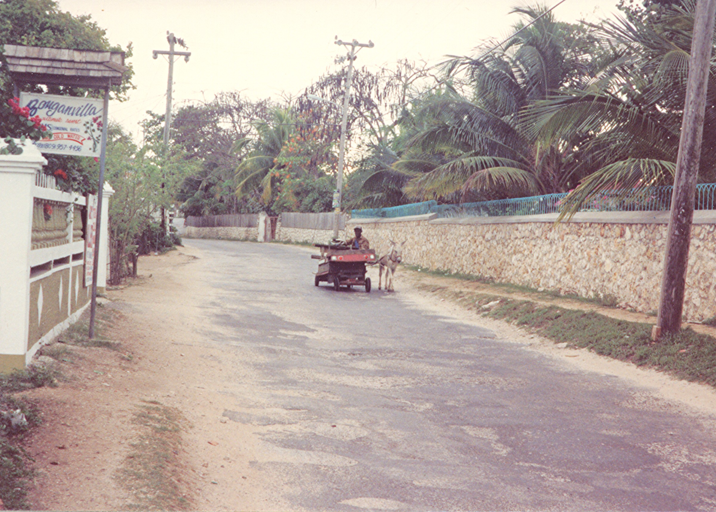 Name:  donkey cart  west end rd  am vegtables 1984.jpg
Views: 926
Size:  1,006.1 KB