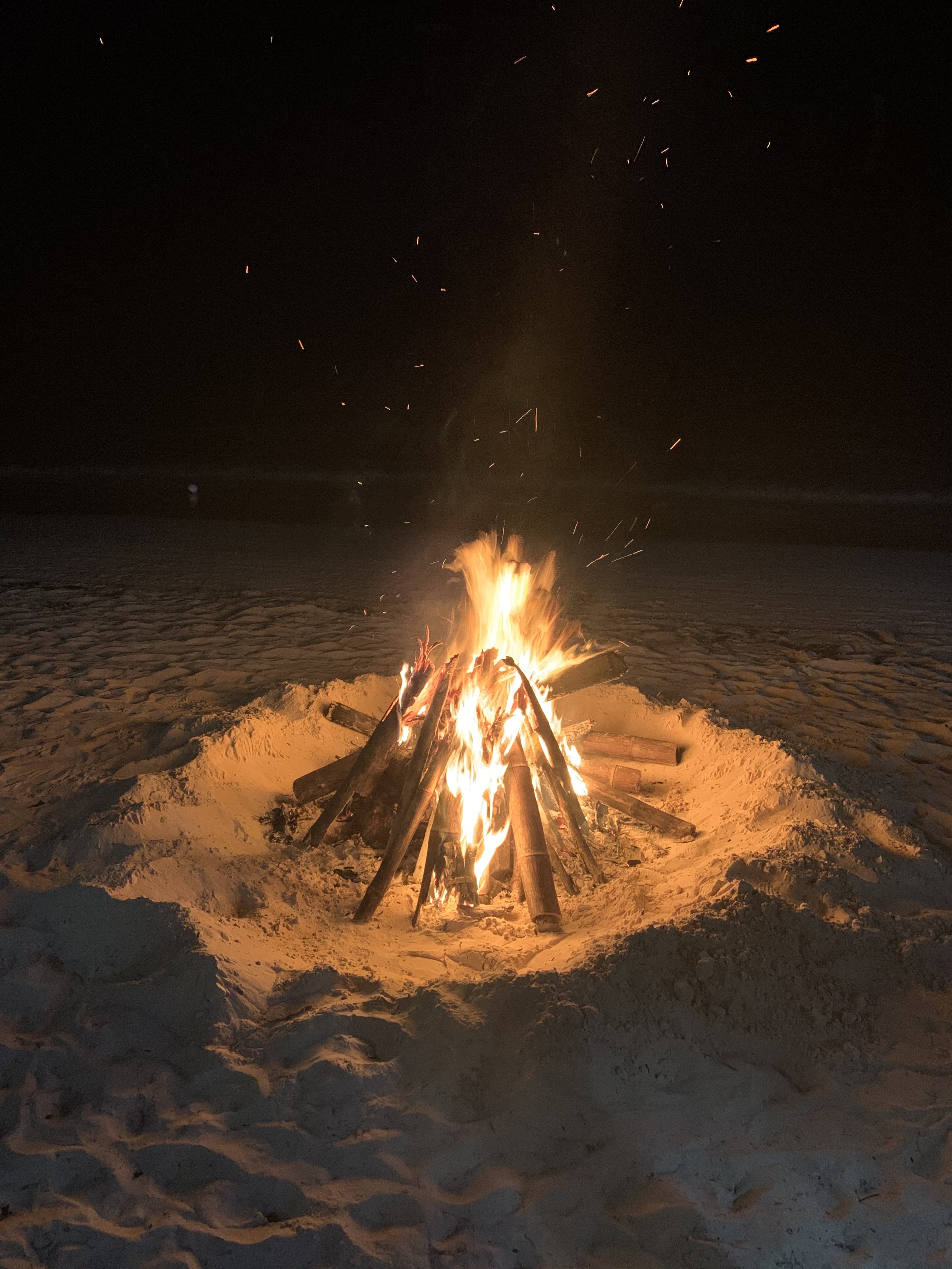 Name:  bonfire.jpg
Views: 6163
Size:  2.64 MB