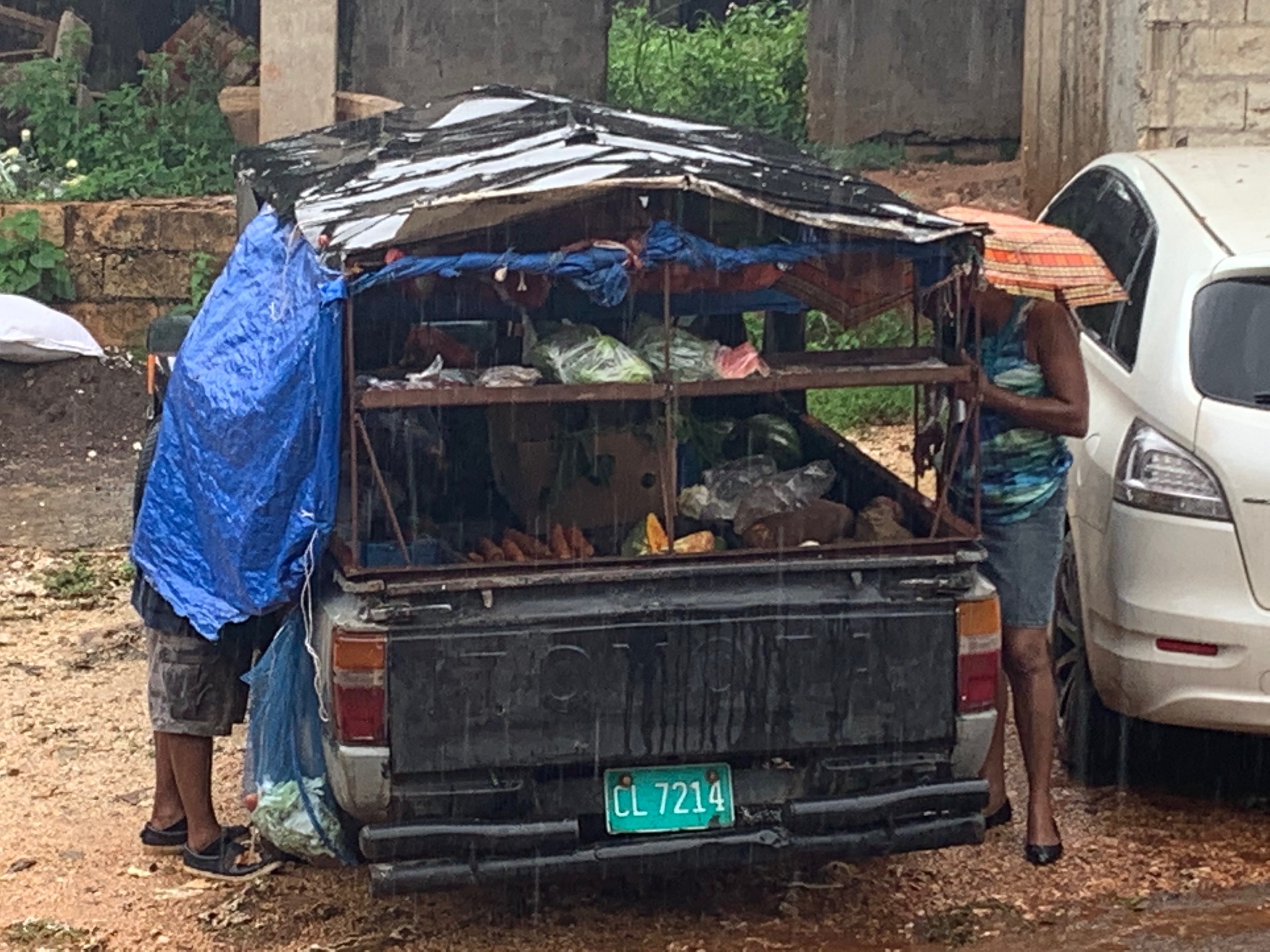 Name:  VeggieTruck.jpg
Views: 5231
Size:  684.5 KB