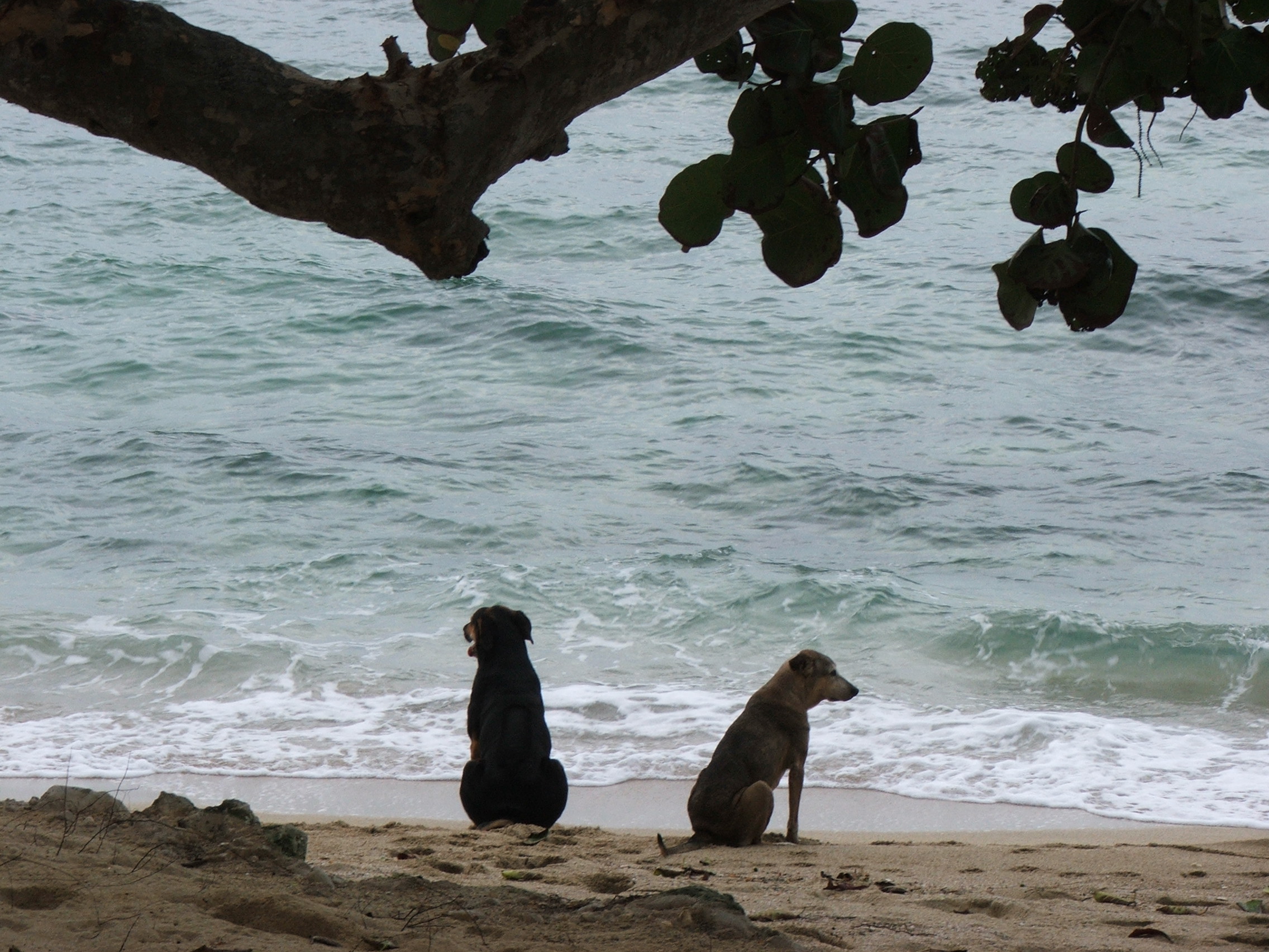 Name:  DSCF0456.JPG
Views: 1576
Size:  893.6 KB