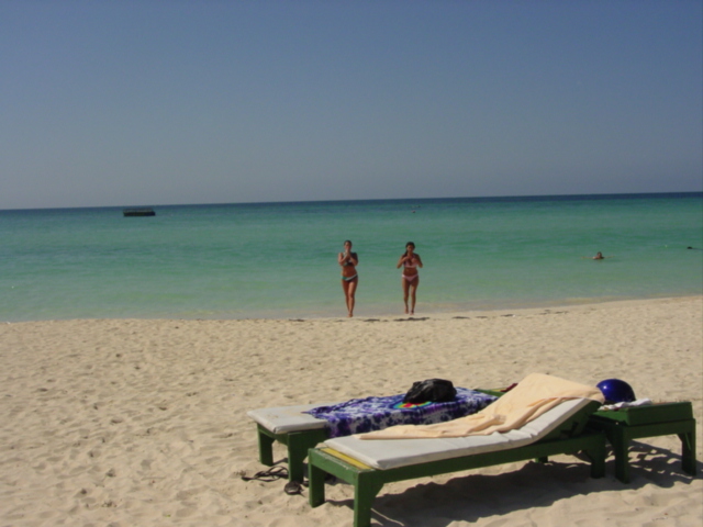 Name:  Jamaica 2008 010.jpg
Views: 1132
Size:  136.7 KB