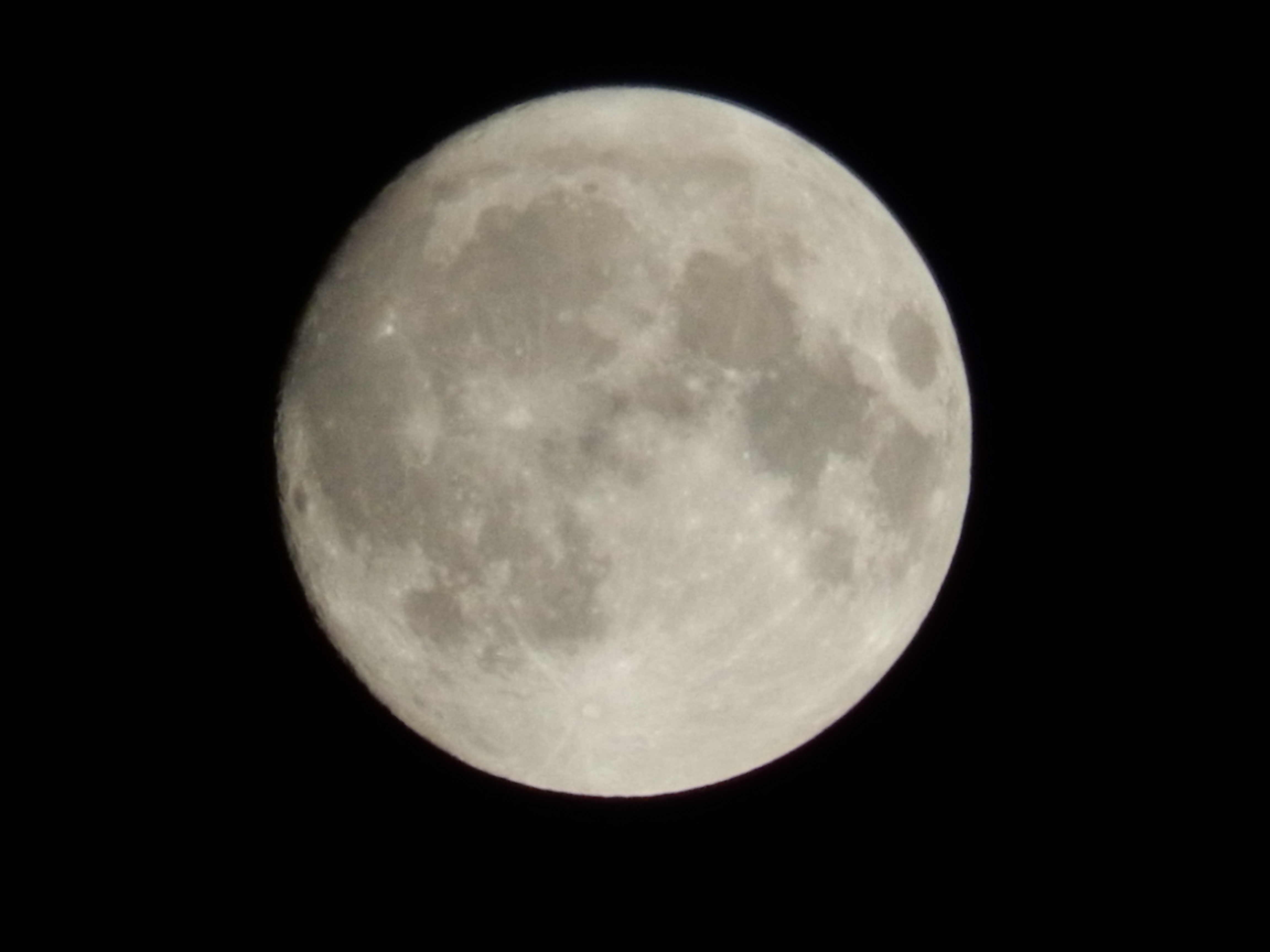 Name:  DSCN2298.JPG
Views: 1179
Size:  1.35 MB