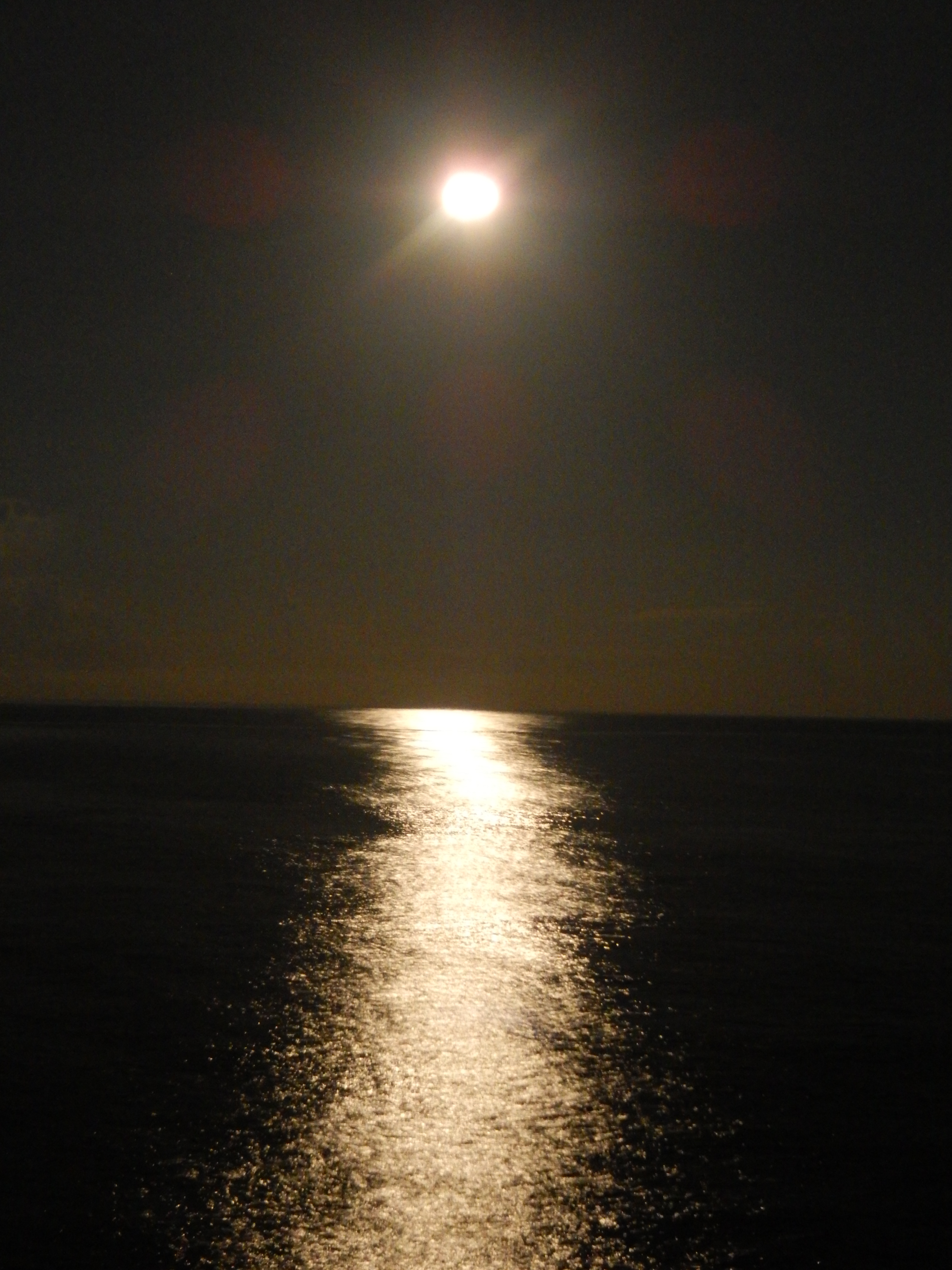 Name:  DSCN2429.JPG
Views: 1091
Size:  3.34 MB