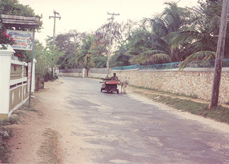 Name:  donkey cart  west end rd  am vegtables 1984 (Medium).jpg
Views: 1115
Size:  83.6 KB