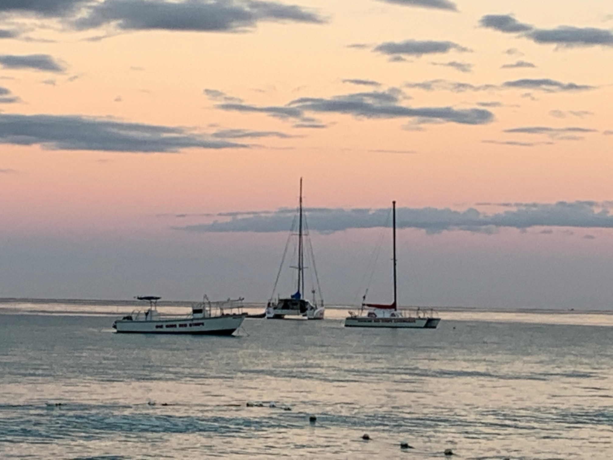 Name:  beach walk.jpg
Views: 2097
Size:  409.9 KB