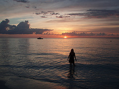 Name:  6327466959_62c6a5974a_m.jpg
Views: 190
Size:  18.3 KB
