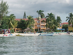 Name:  6328213428_f38c63d912_m.jpg
Views: 248
Size:  24.1 KB