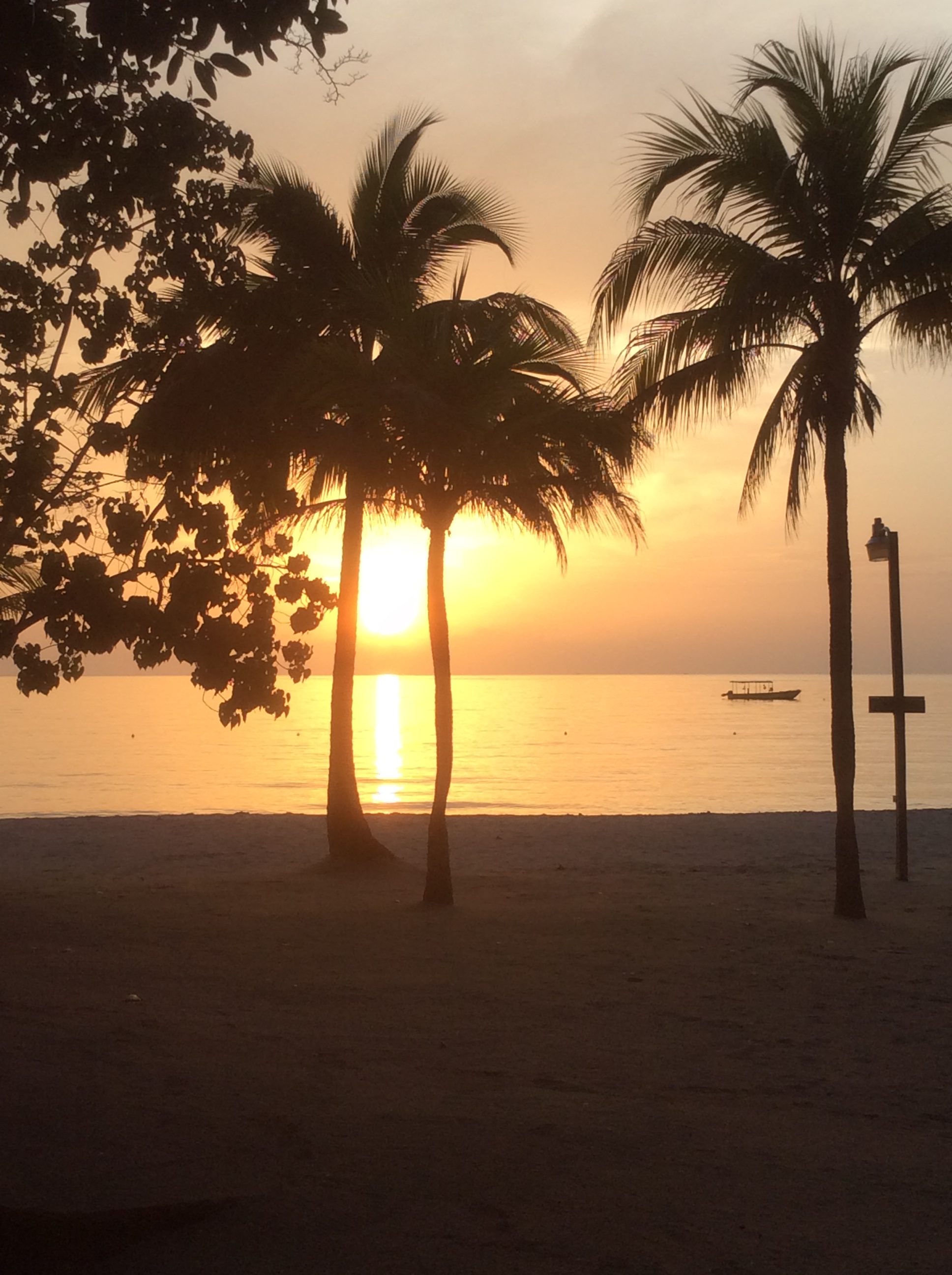 Name:  030.JPG
Views: 3435
Size:  1,021.9 KB