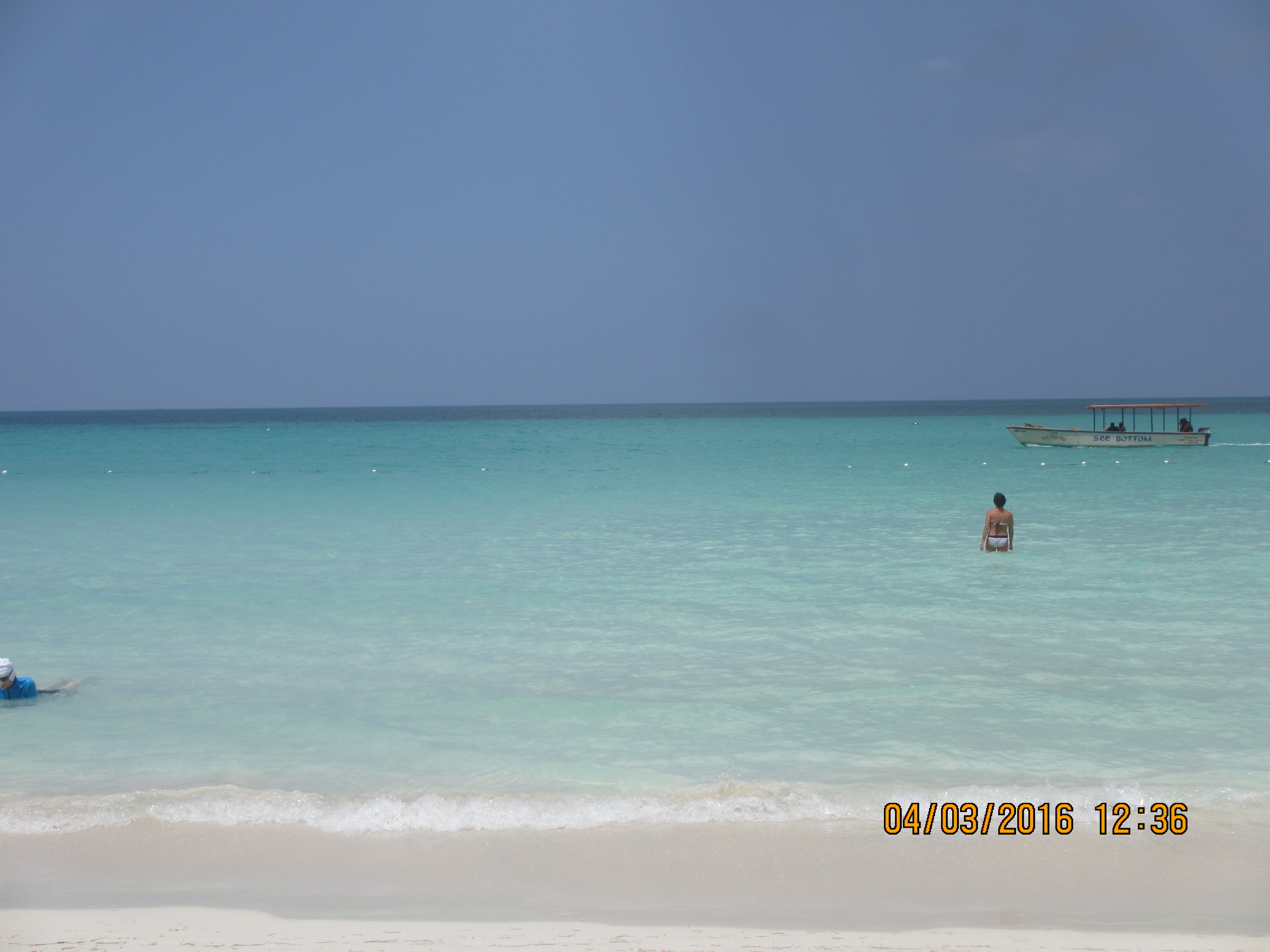 Name:  030.JPG
Views: 785
Size:  1.81 MB