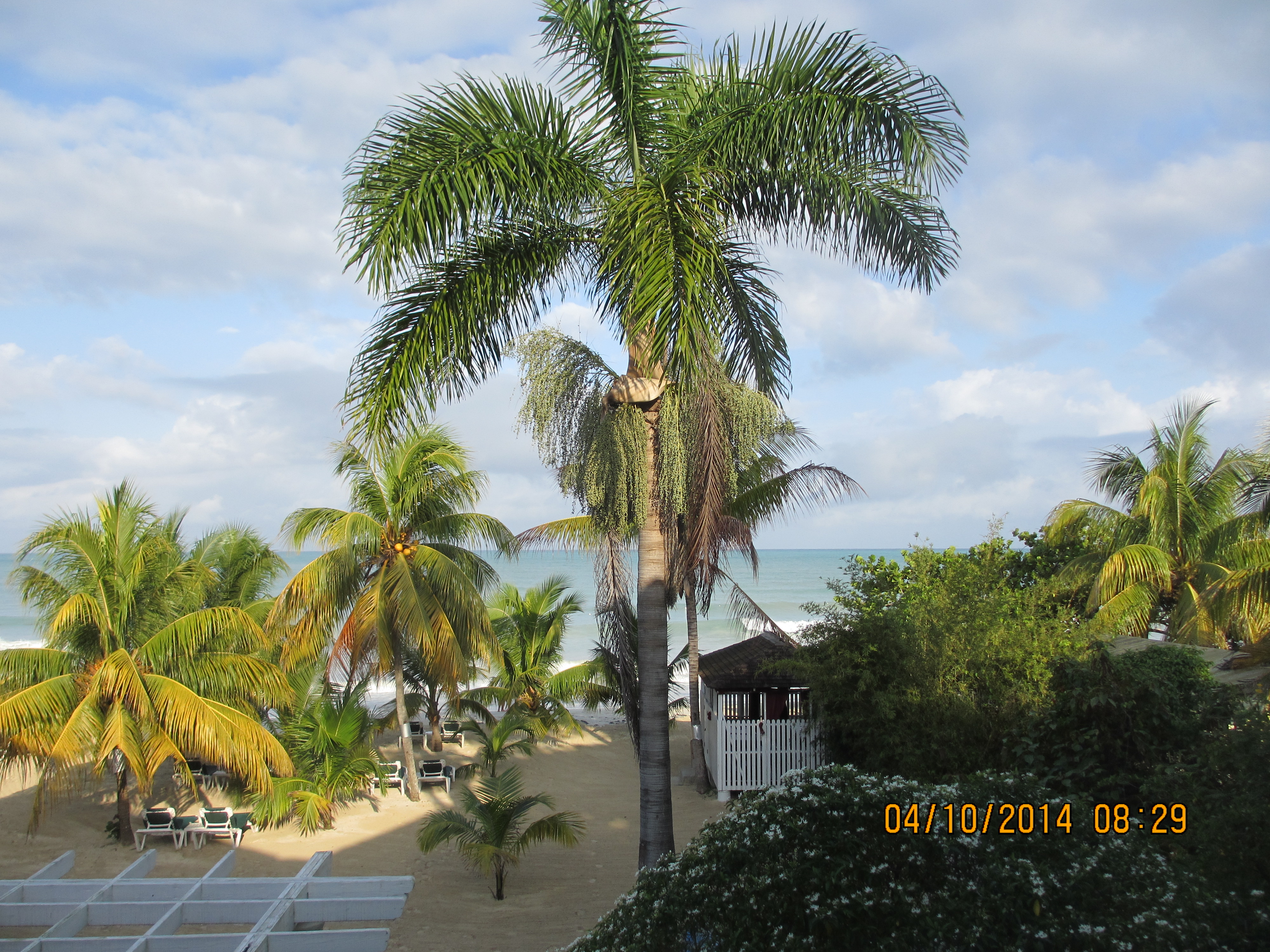 Name:  IMG_0567.JPG
Views: 1113
Size:  3.60 MB