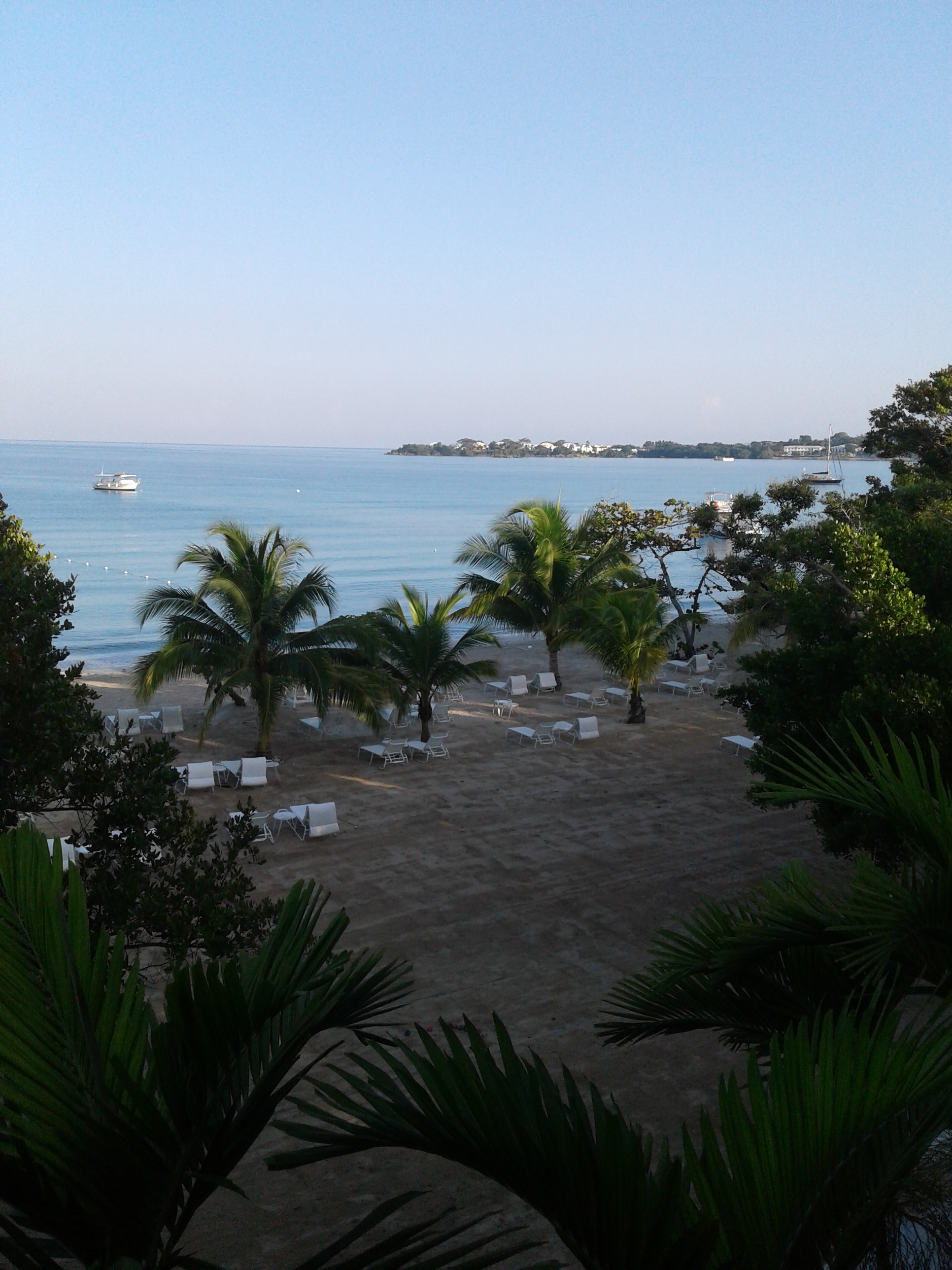 Name:  20210321_082027.jpg
Views: 1135
Size:  1.60 MB