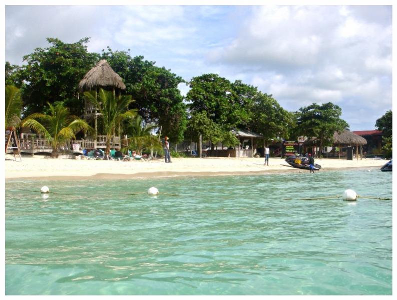 Name:  Day 3 in the water.jpg
Views: 1064
Size:  75.4 KB