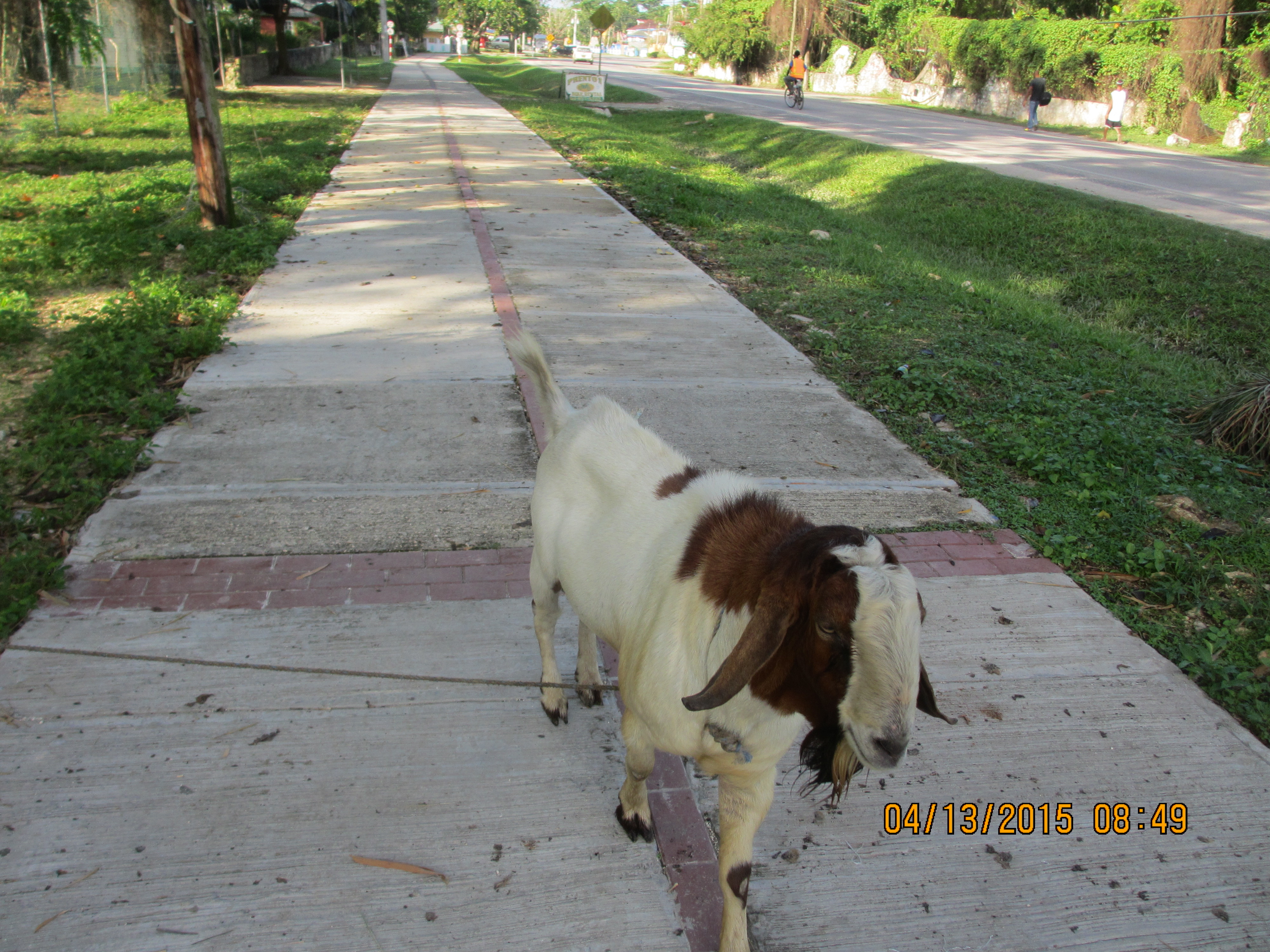 Name:  IMG_0943.JPG
Views: 940
Size:  3.21 MB