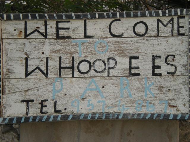 Name:  WHOOPEES.JPG
Views: 857
Size:  63.2 KB