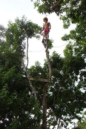 Name:  crazy-man.jpg
Views: 298
Size:  46.4 KB