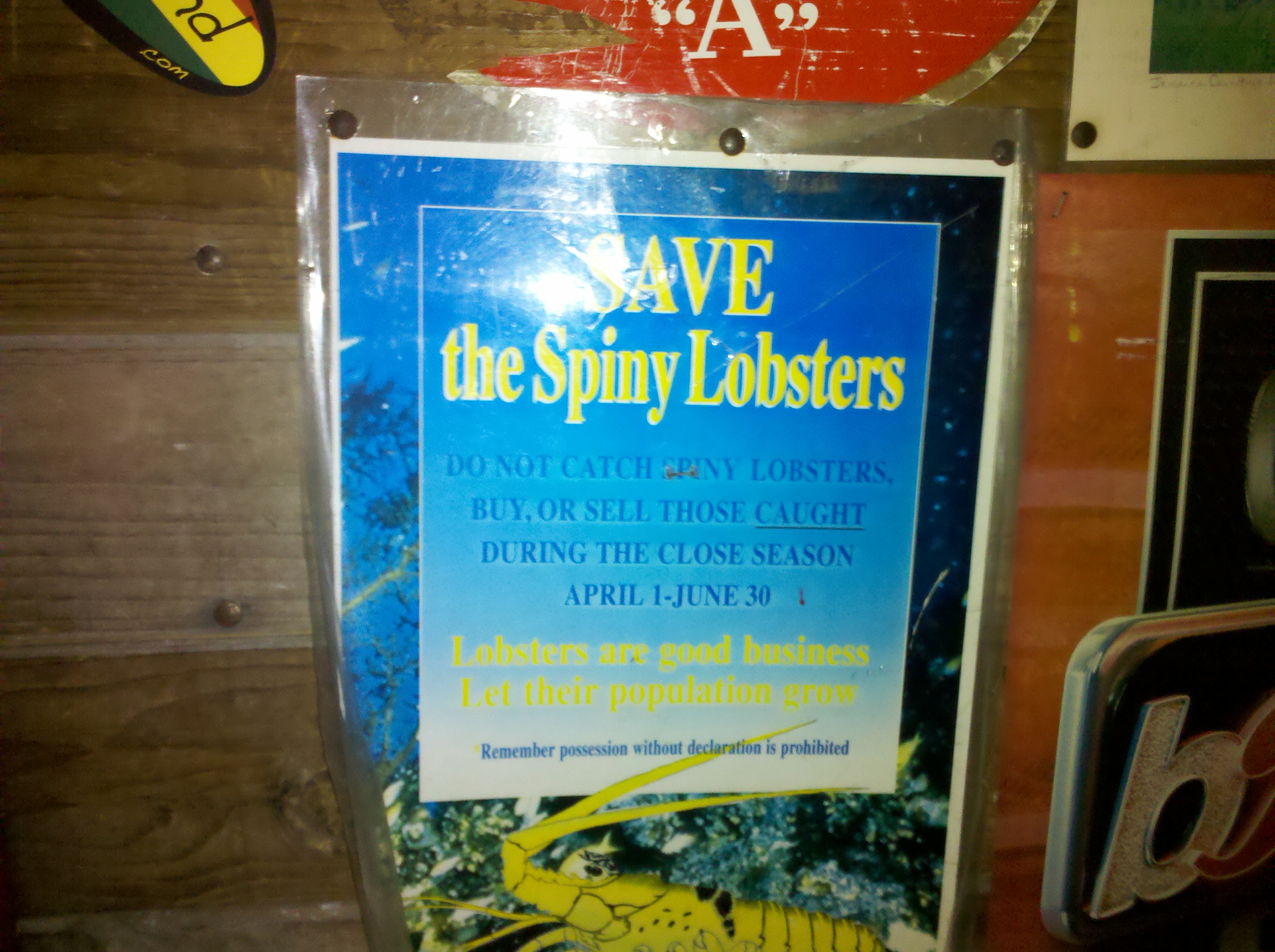 Name:  Overstanding the Lobster.jpg
Views: 4017
Size:  1.15 MB