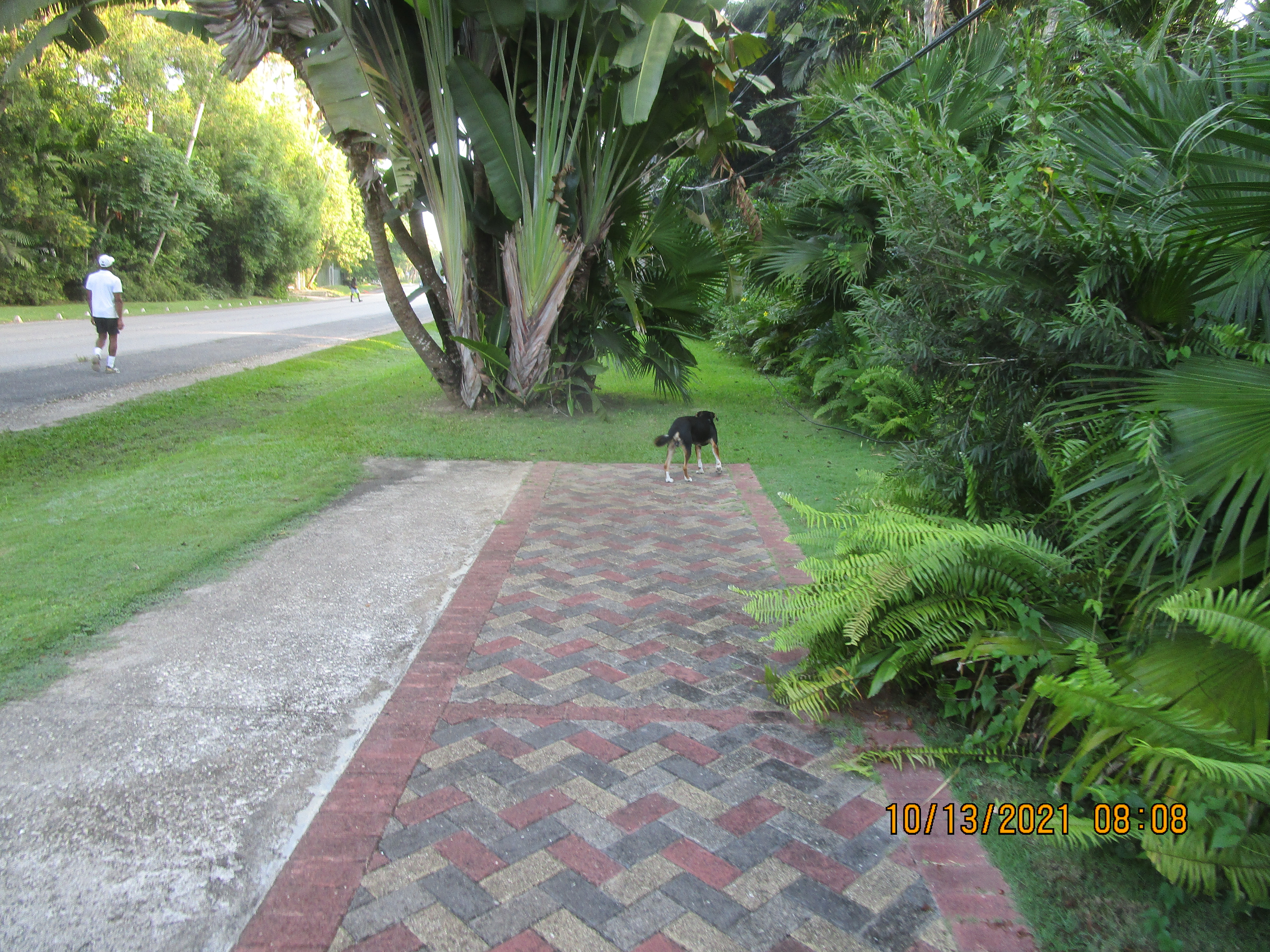Name:  035.JPG
Views: 1775
Size:  7.40 MB