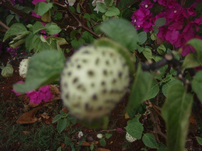 Name:  35BED03C-C1ED-47B5-B01B-47557D2A358A.jpeg
Views: 469
Size:  100.3 KB