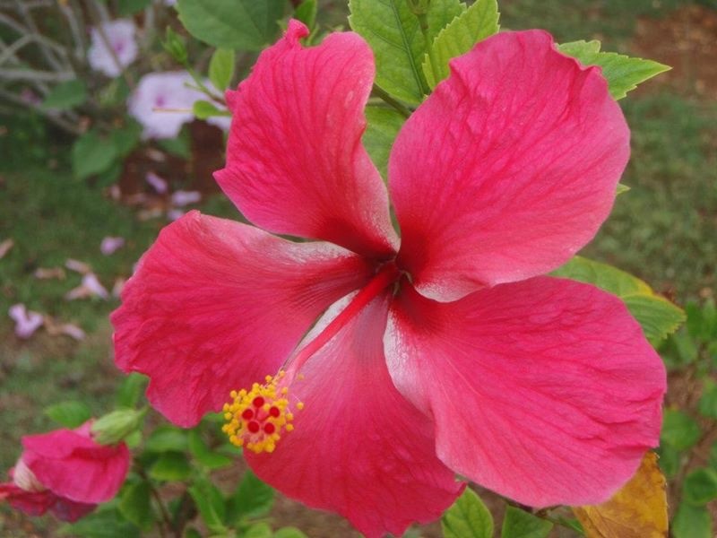 Name:  5B10A067-BA93-420C-86D9-71BC58F29D65.jpeg
Views: 604
Size:  98.8 KB
