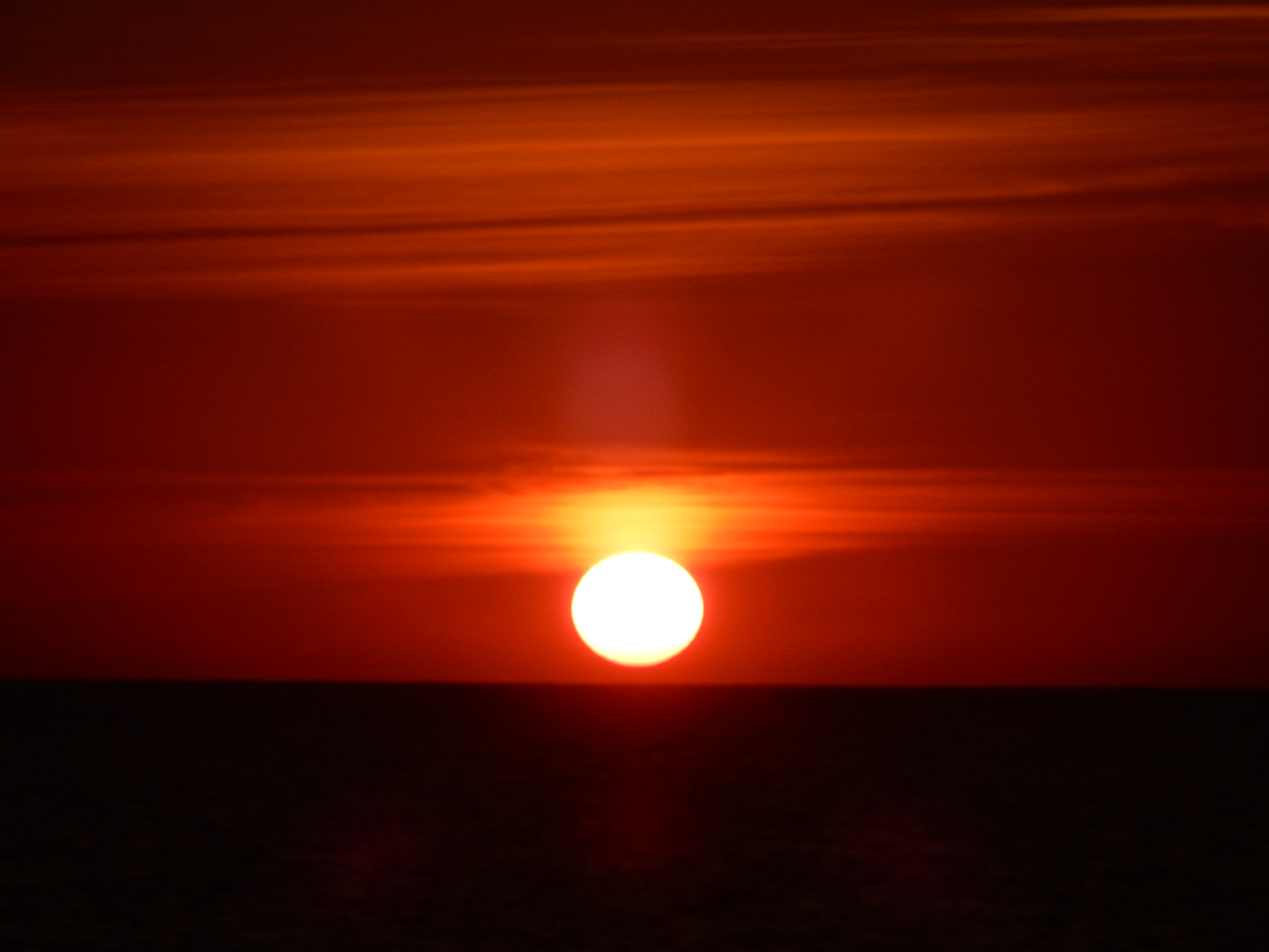 Name:  DSCN5656.JPG
Views: 687
Size:  3.57 MB