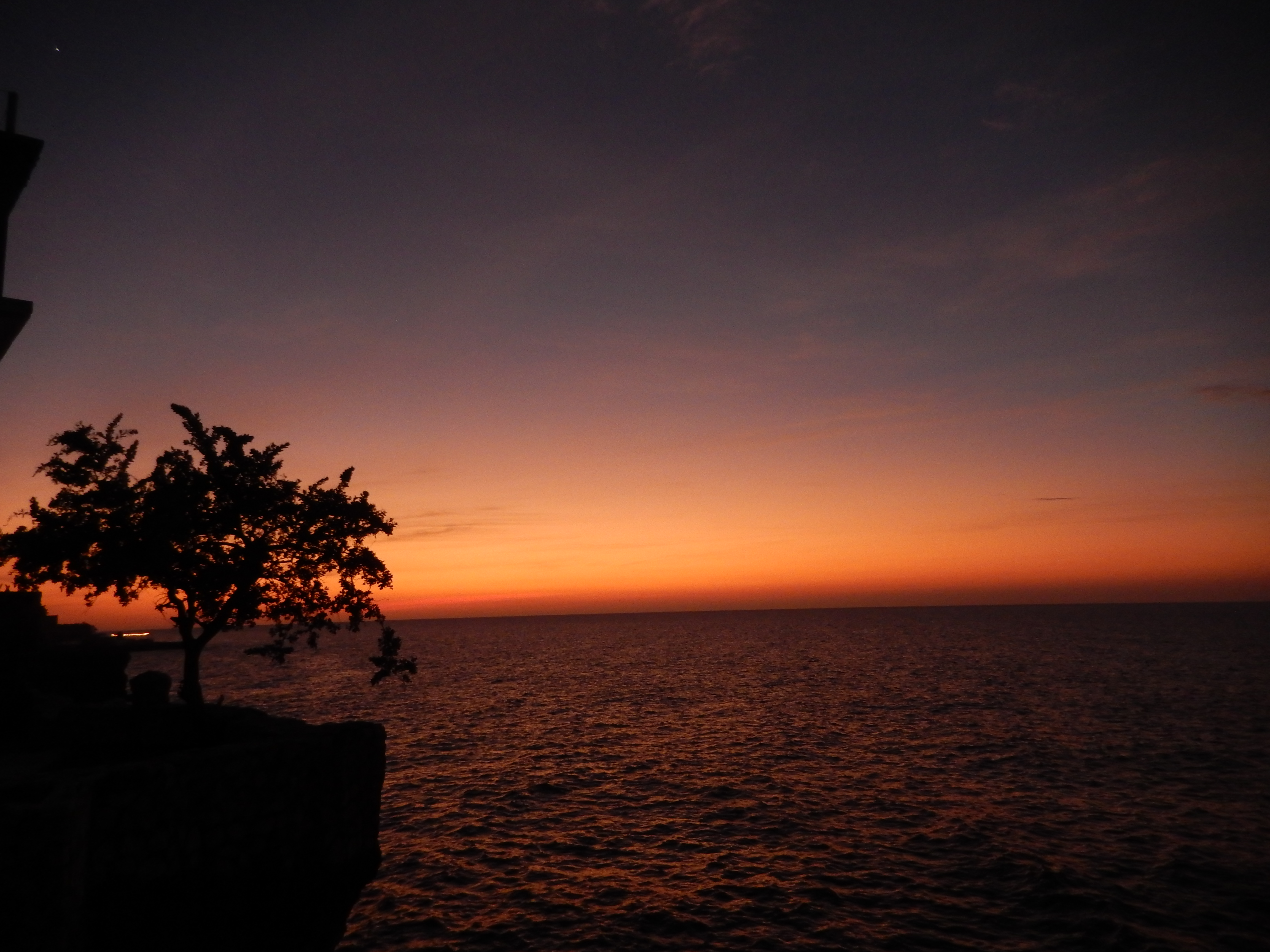 Name:  DSCN5704.JPG
Views: 675
Size:  3.26 MB