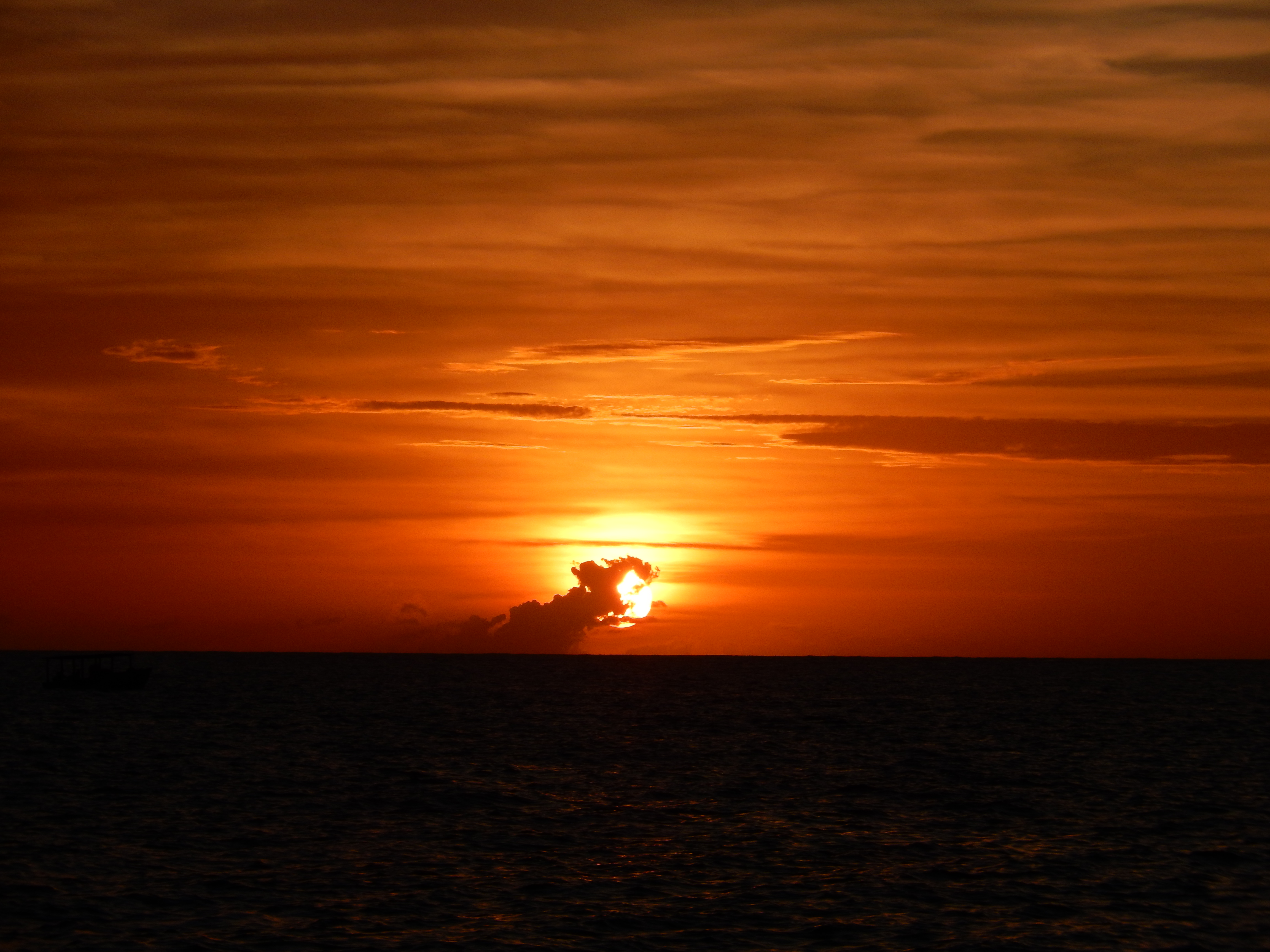 Name:  DSCN5724.JPG
Views: 1001
Size:  3.42 MB