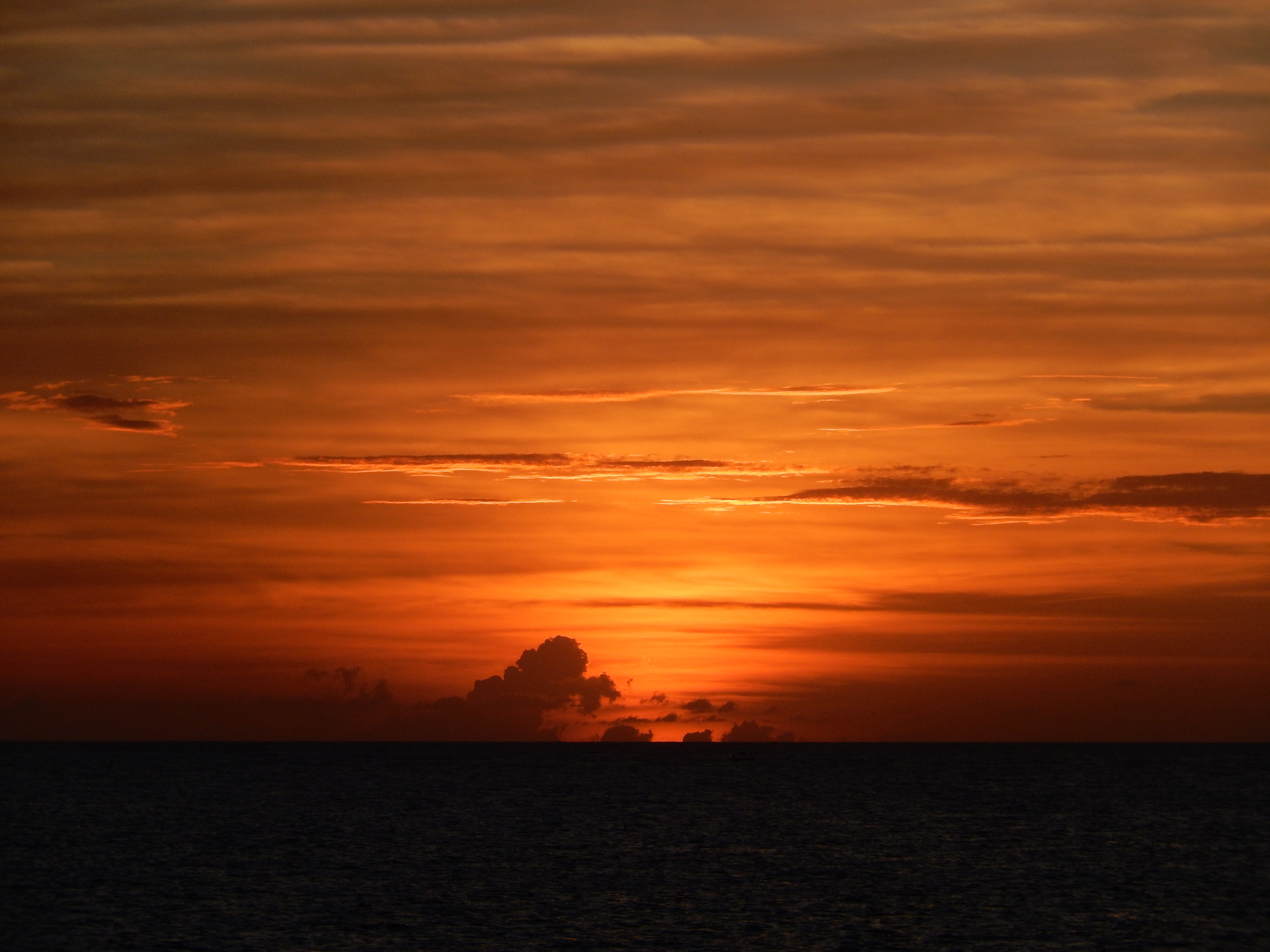 Name:  DSCN5740.JPG
Views: 1067
Size:  3.28 MB