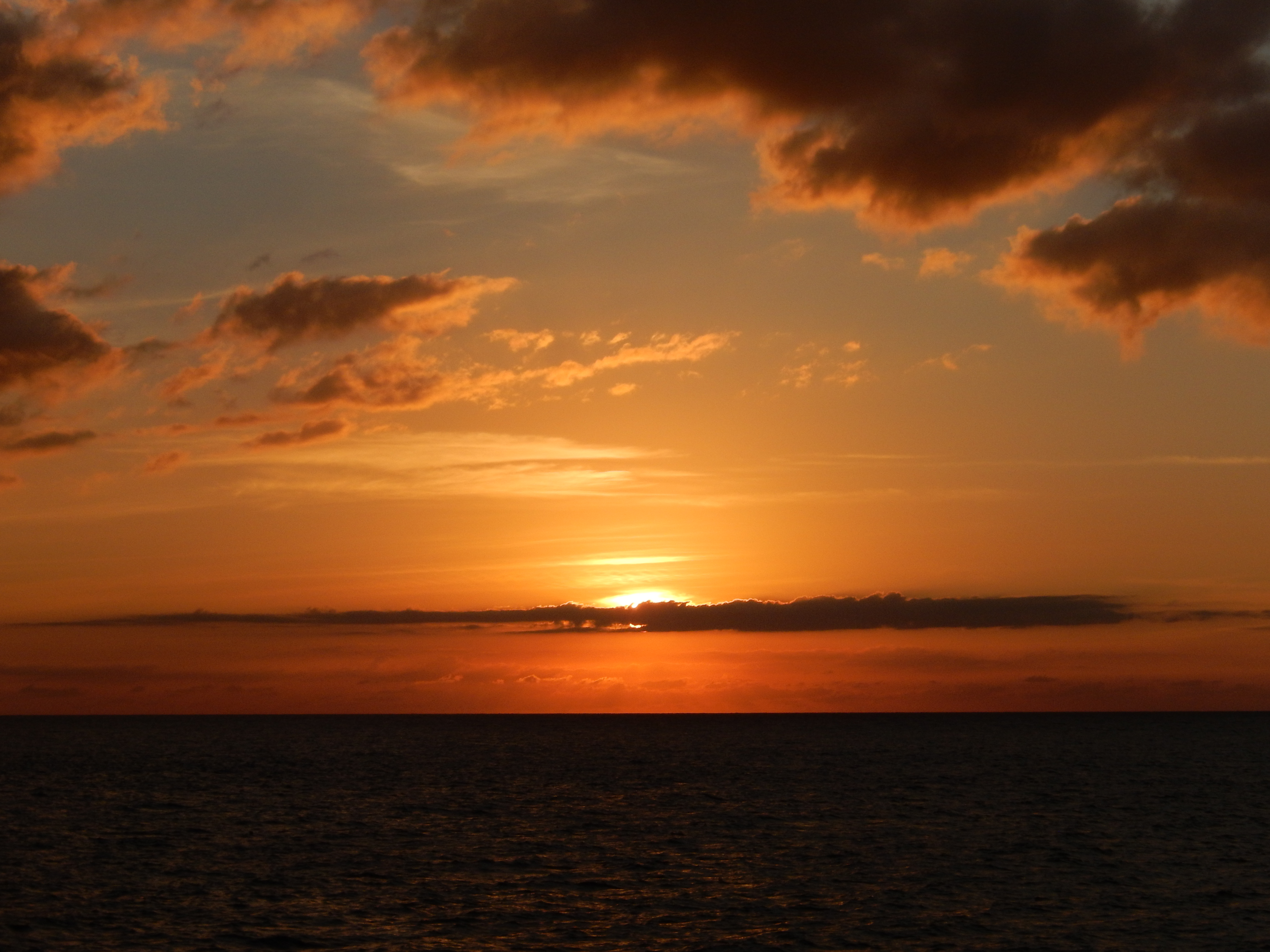 Name:  DSCN5813.JPG
Views: 687
Size:  3.12 MB