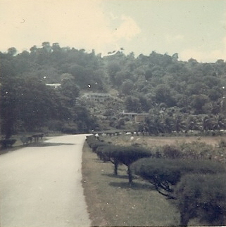 Name:  scan0121.jpg
Views: 727
Size:  55.0 KB