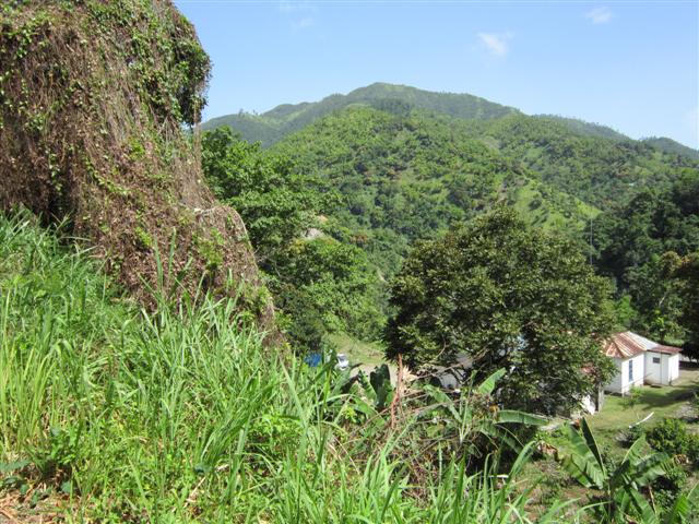 Name:  i00677 (Small).JPG
Views: 3197
Size:  88.1 KB