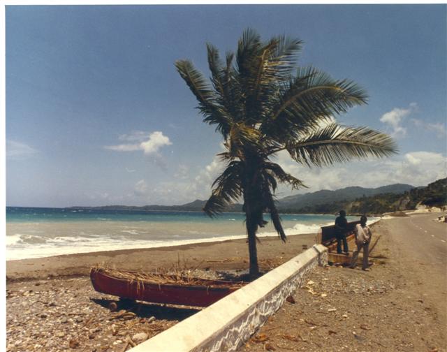 Name:  Buff Bay (Small).JPG
Views: 2840
Size:  47.6 KB