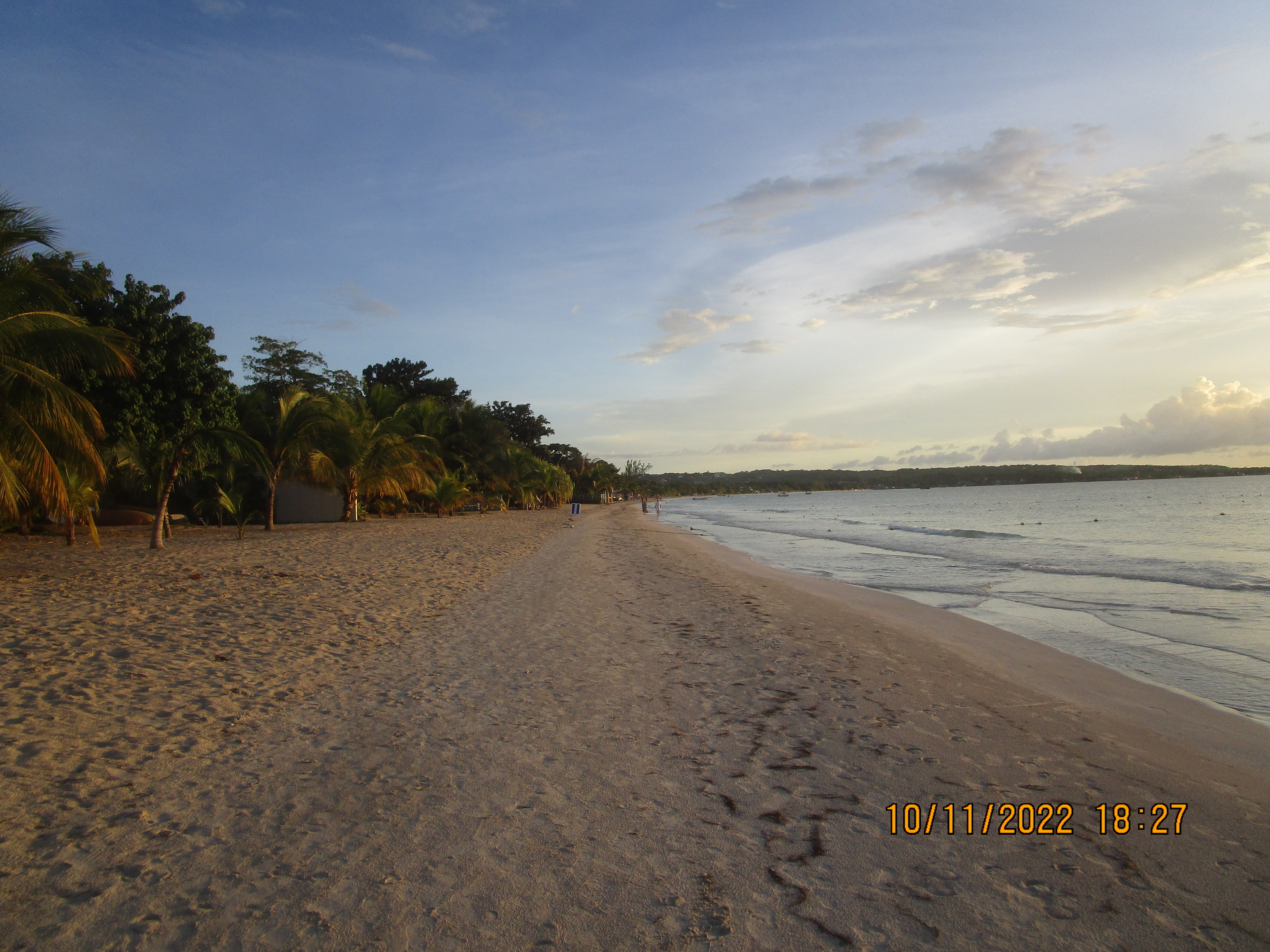 Name:  007.JPG
Views: 1468
Size:  5.72 MB