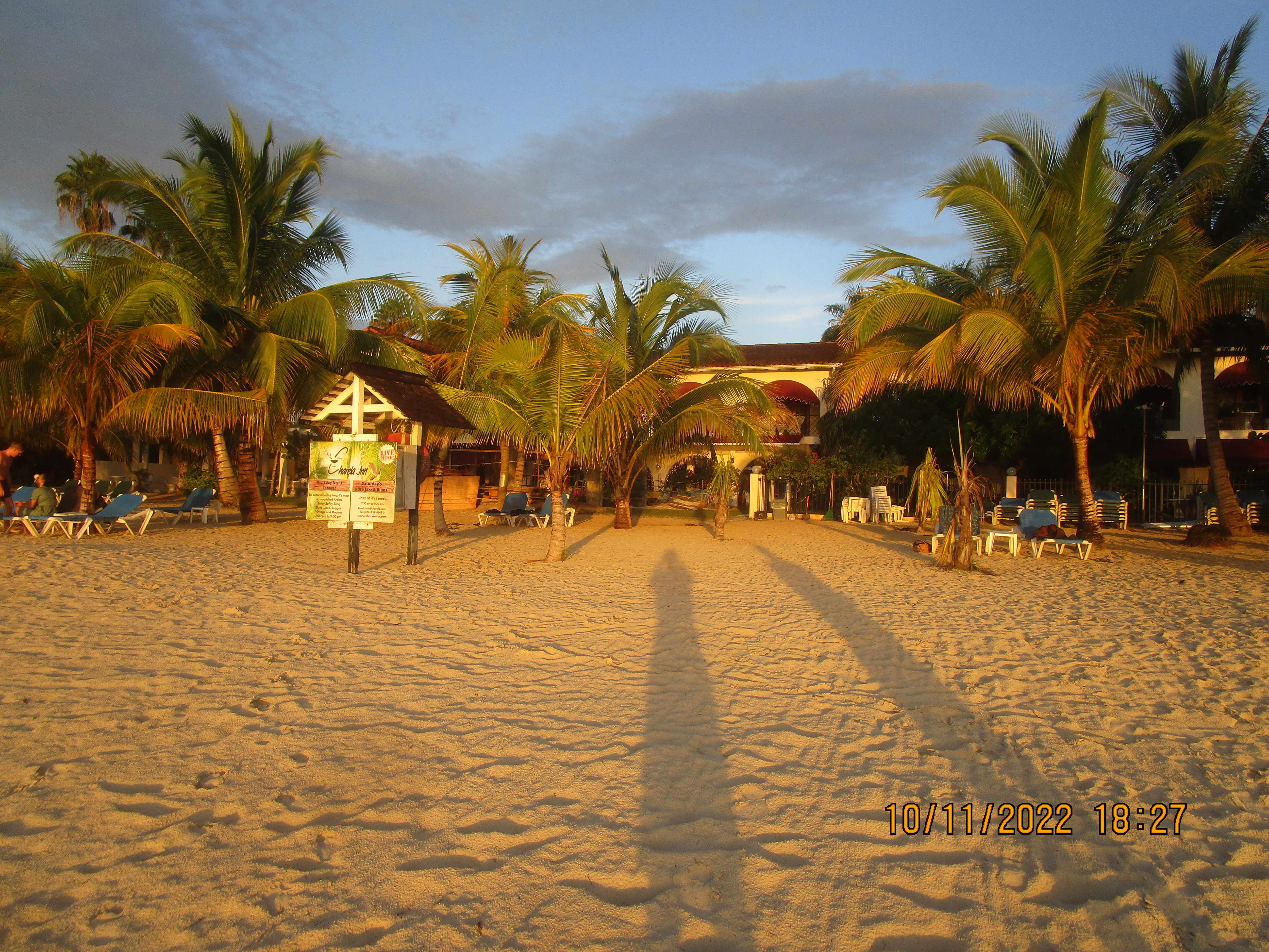 Name:  008.JPG
Views: 1442
Size:  7.29 MB