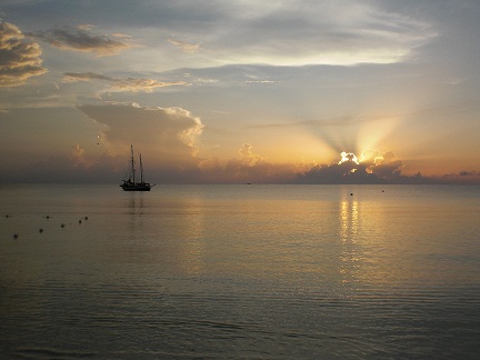 Name:  negril june 2010 011.JPG
Views: 1070
Size:  75.0 KB
