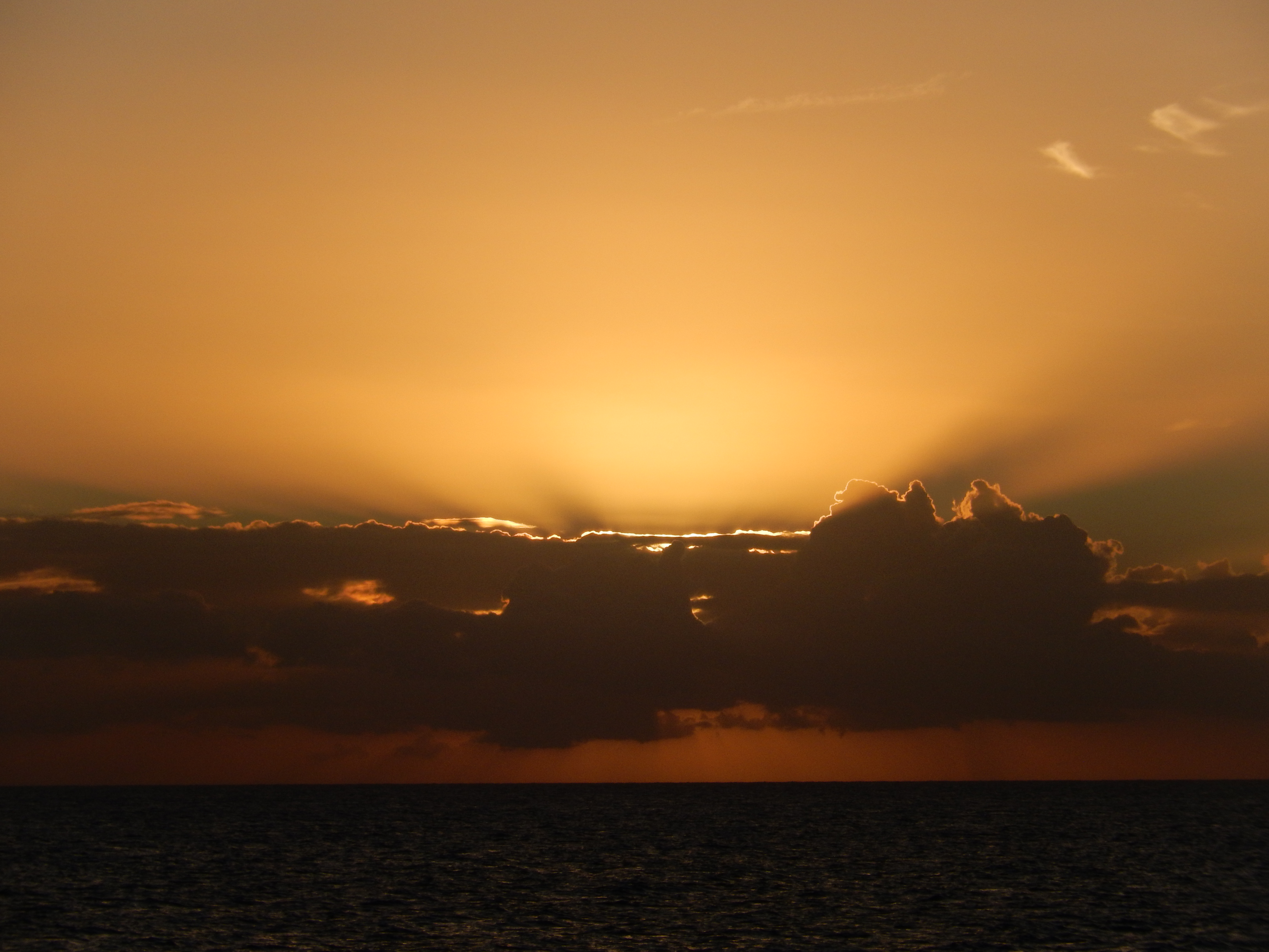 Name:  DSCN7358.JPG
Views: 969
Size:  2.91 MB