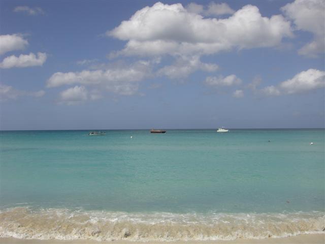 Name:  JamRock2009 084 (Small).jpg
Views: 654
Size:  30.9 KB