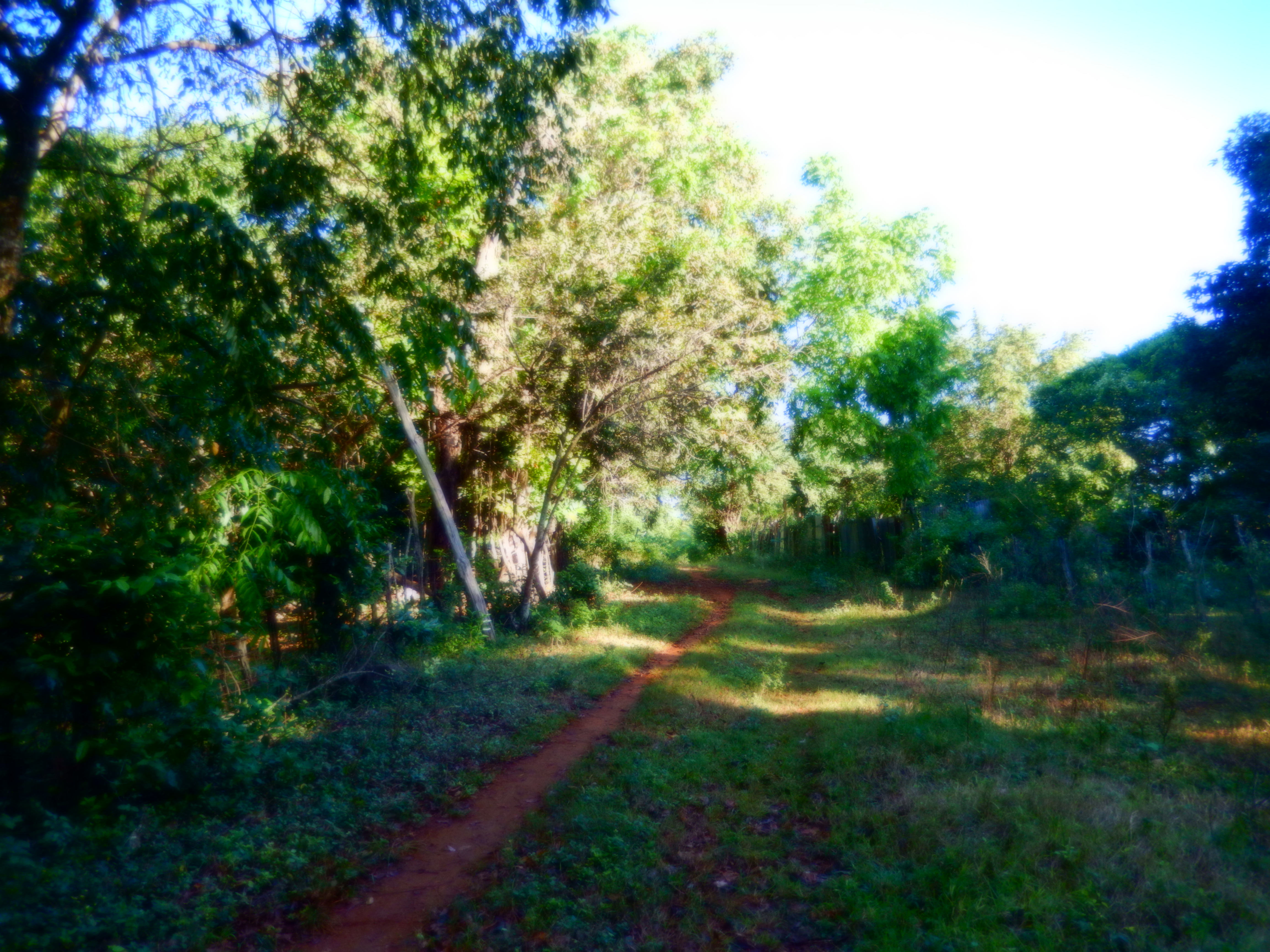 Name:  DSCN7479.JPG
Views: 1039
Size:  3.40 MB